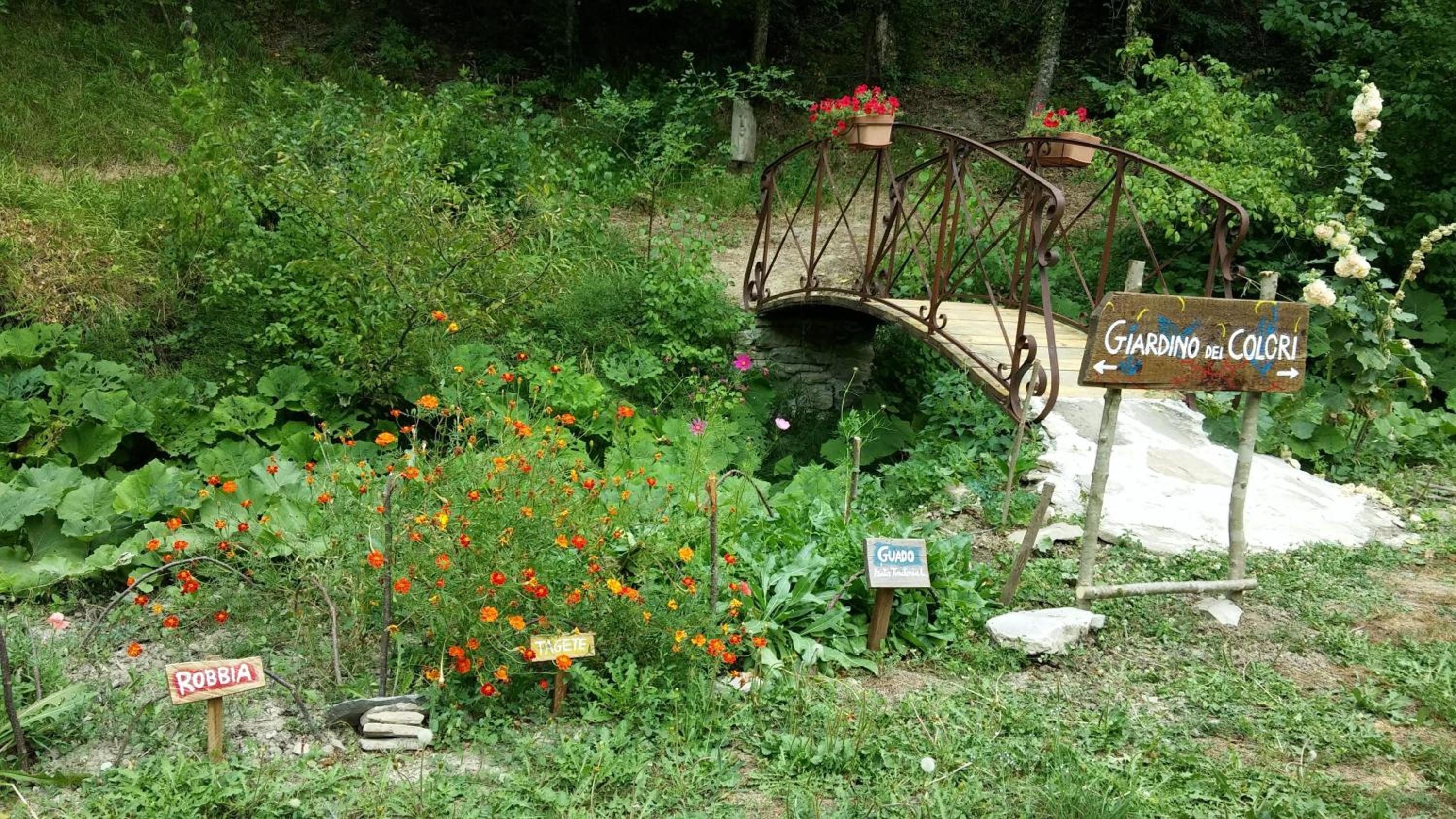 ValdericArte