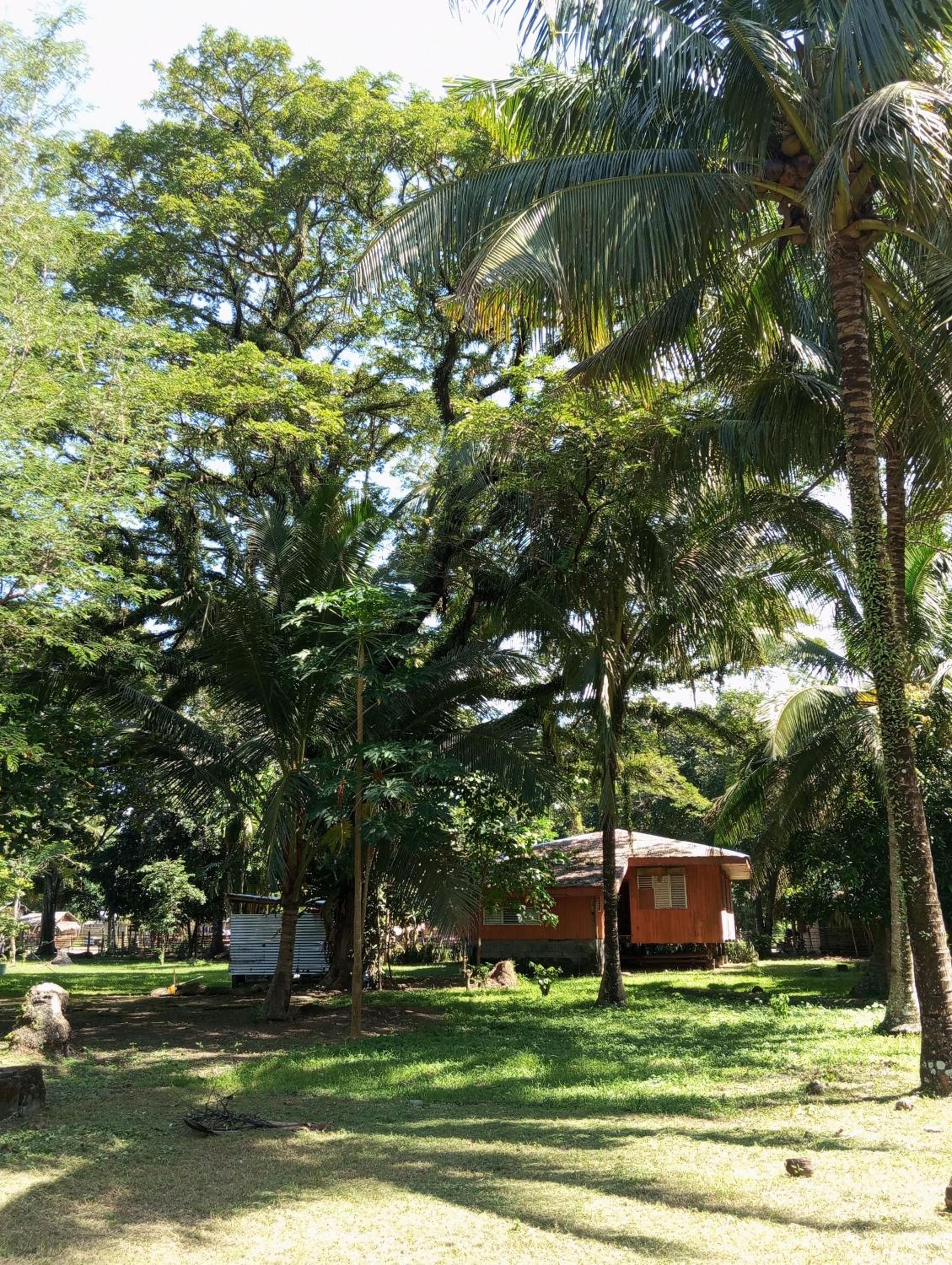 Camp Jenil Serenity Homestay