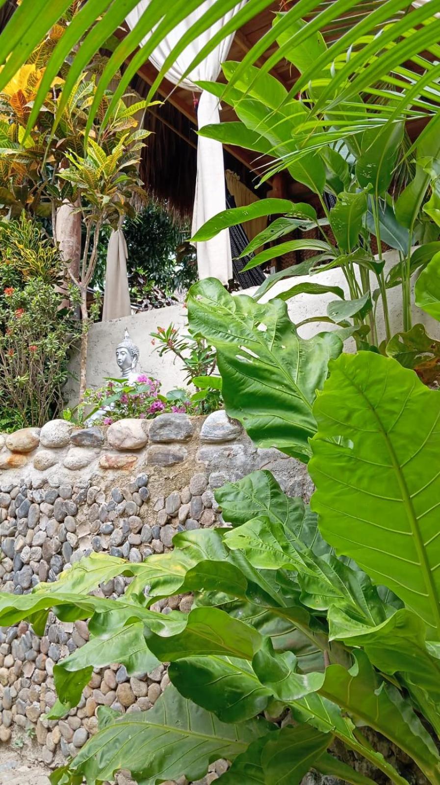 ECOCABAÑAS DIOSA JAGUAR tayrona