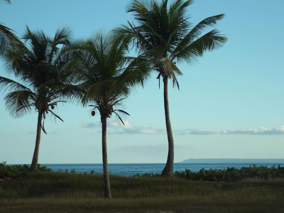 Anse Des Rochers Kindie view 5