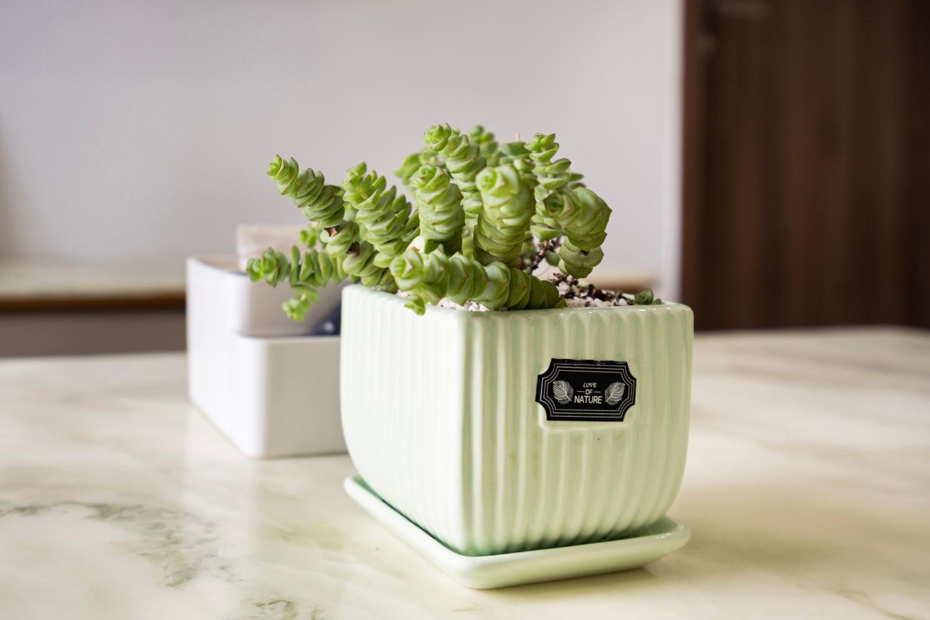 NI HOUSE - HADO CENTROSA 2 PHÒNG NGỦ