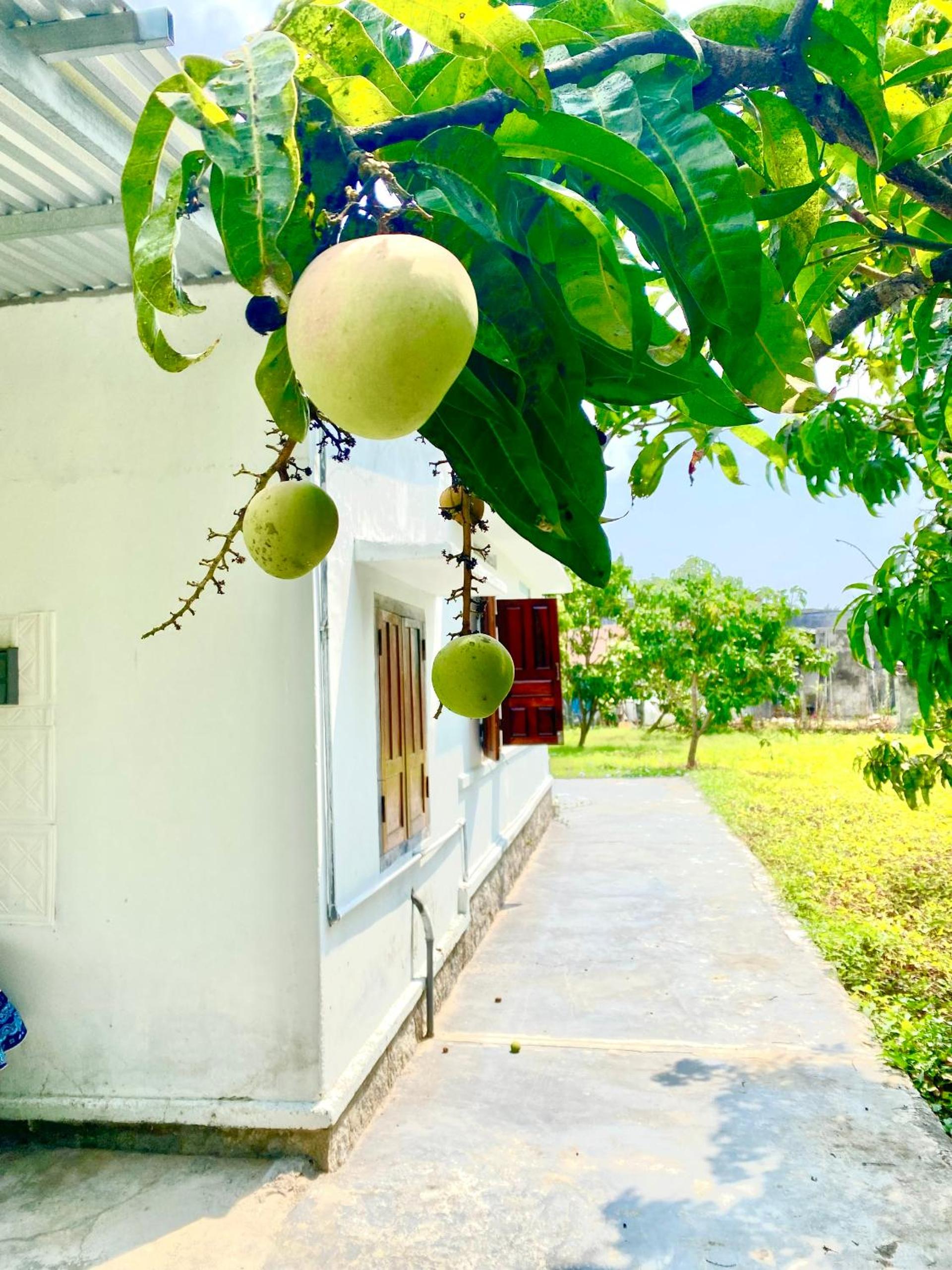 Di countryside House