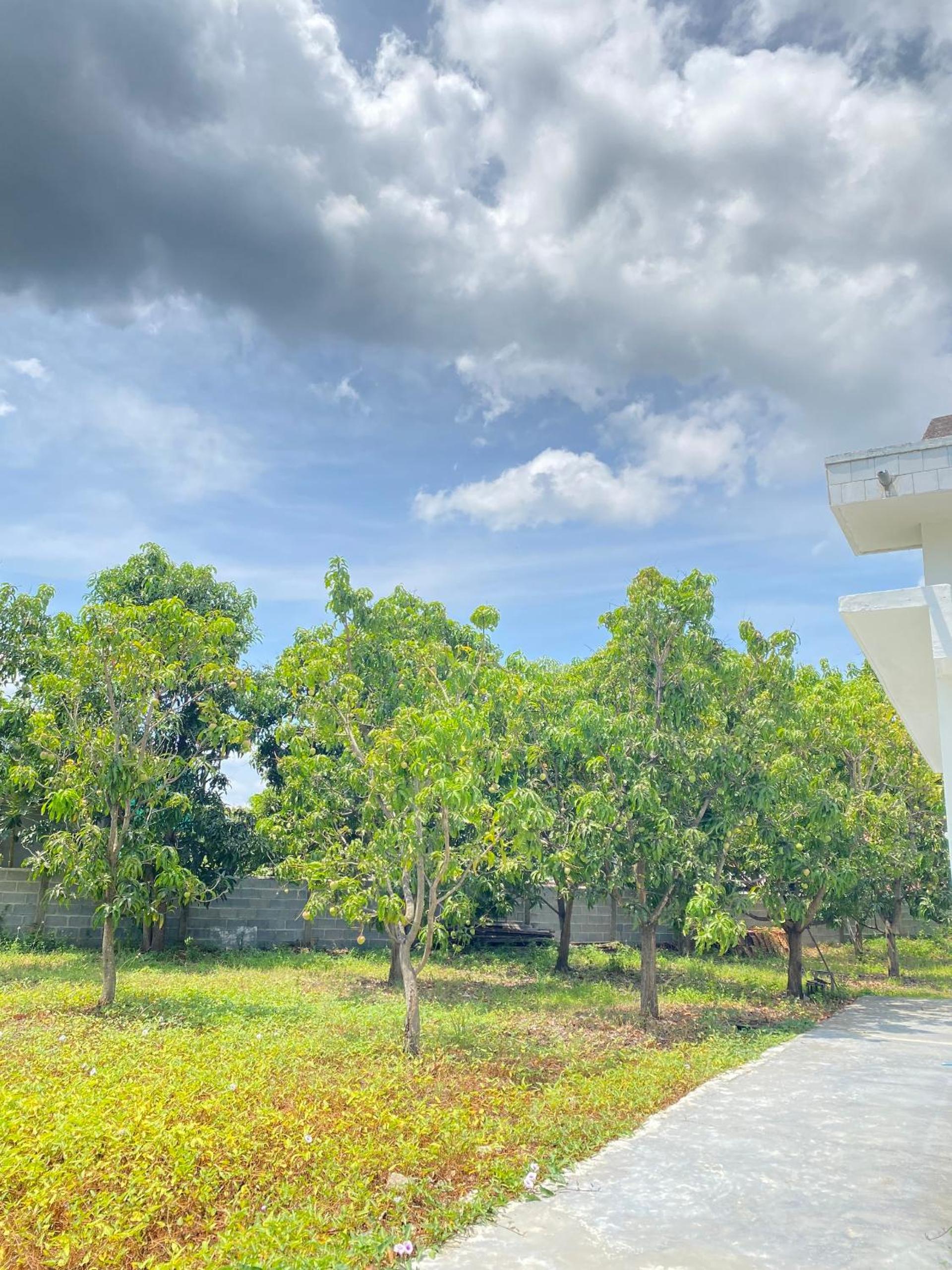 Di countryside House