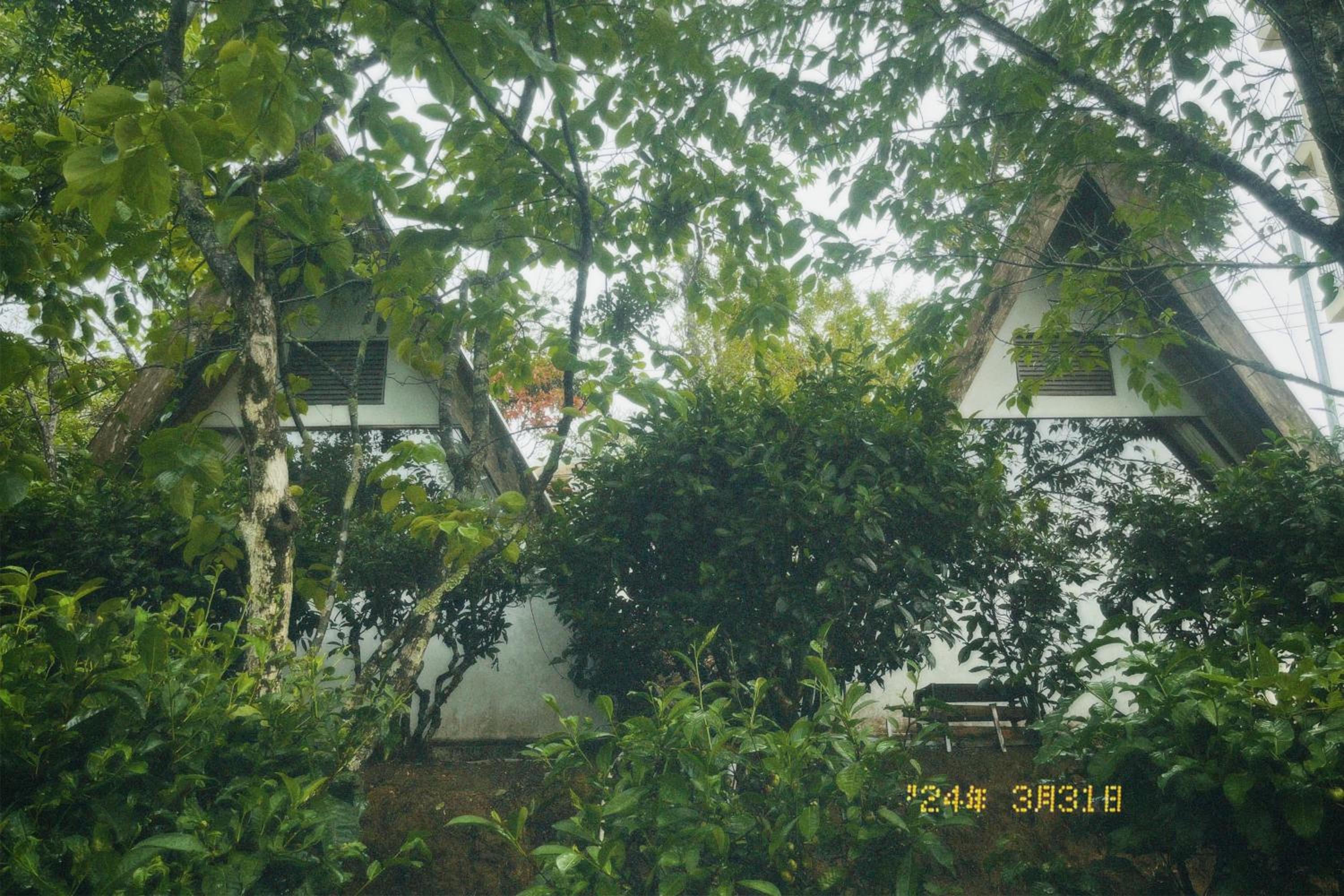 Photo 61