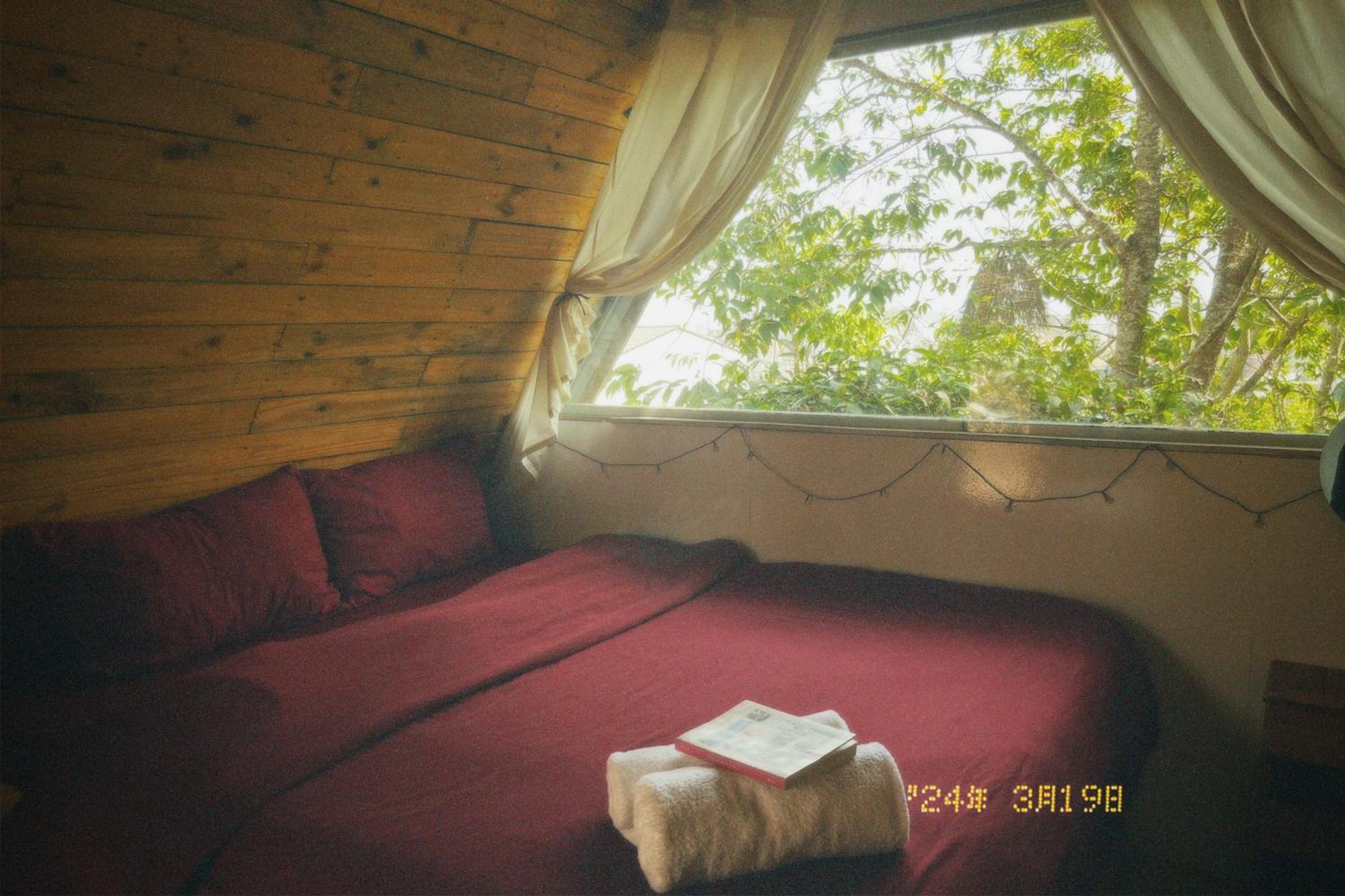 Photo 89