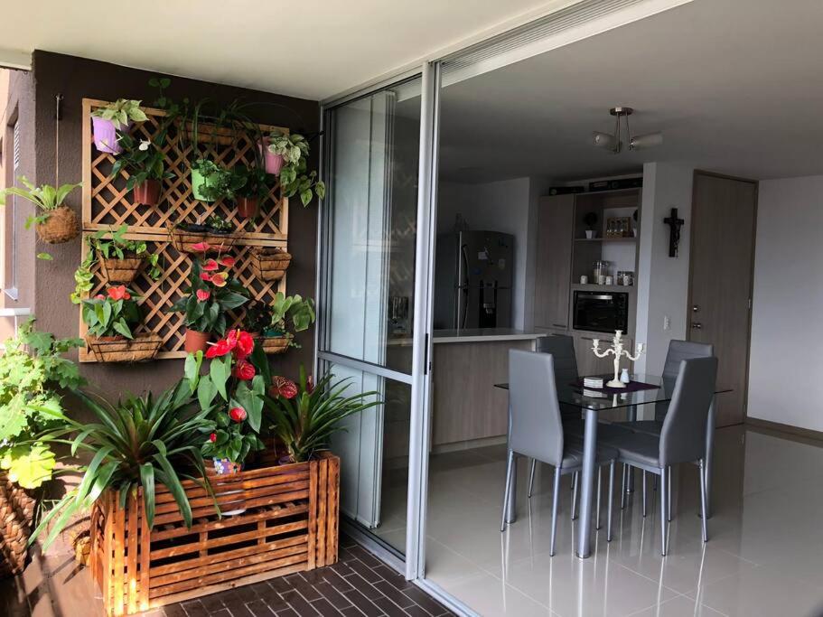 Entire apartament with a beautiful view