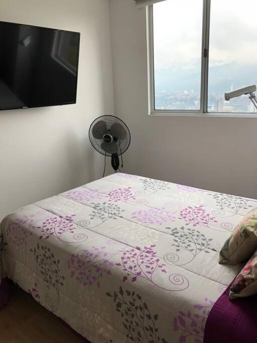 Entire apartament with a beautiful view