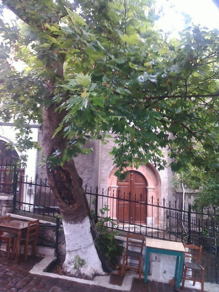 Traditional Stone House view 3