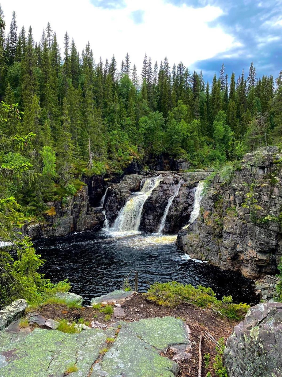 Vemdalsskalets Gräddhylla view 2