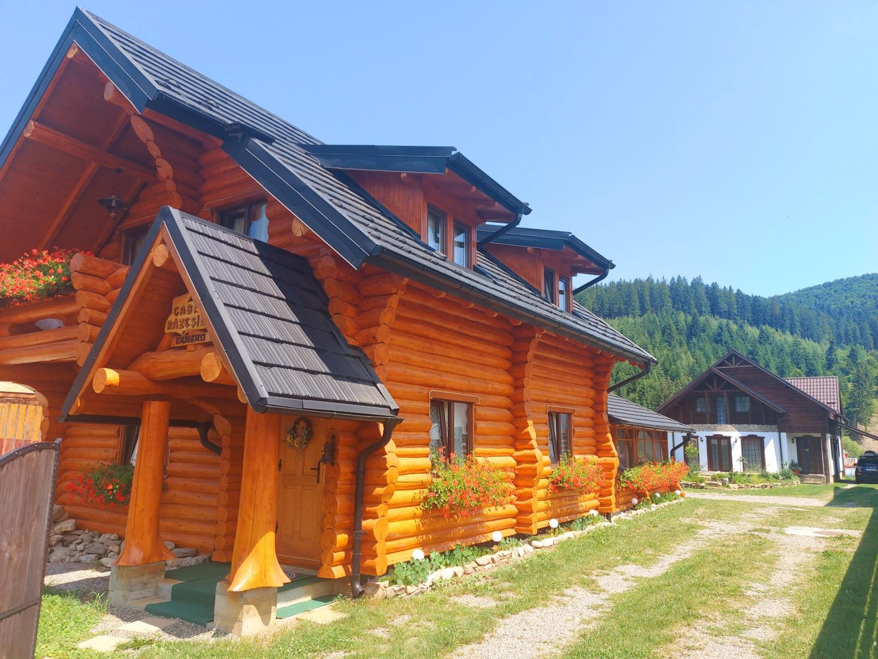 Cabana Razesilor