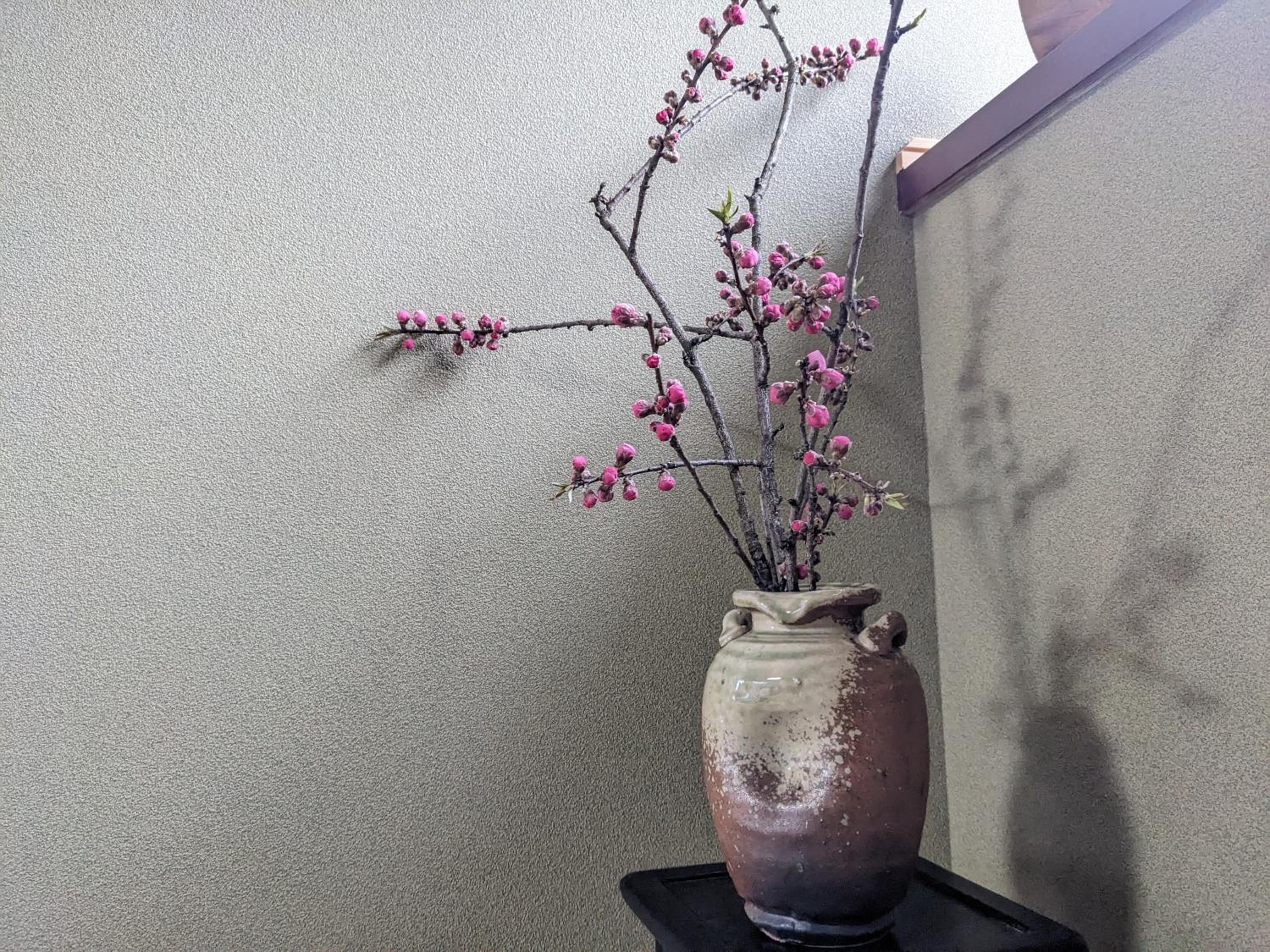 Photo 52