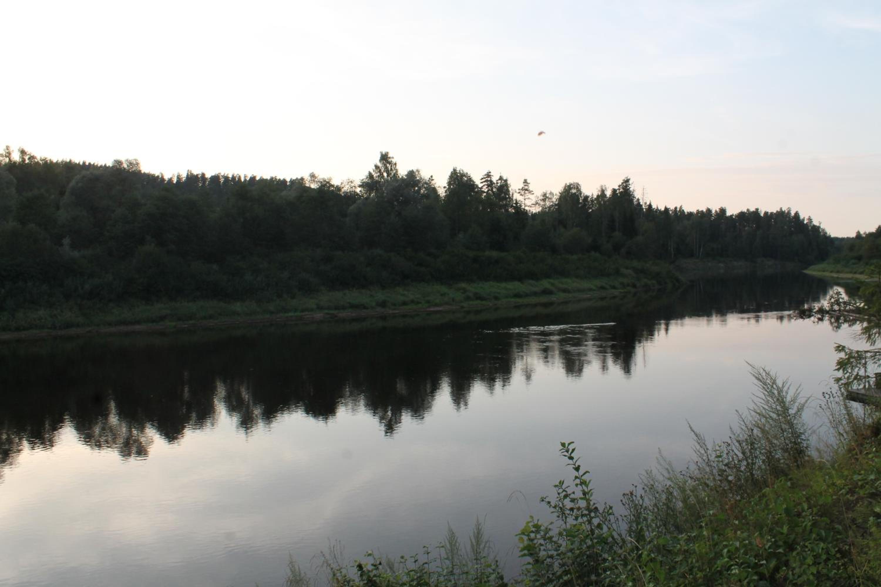 Photo 39