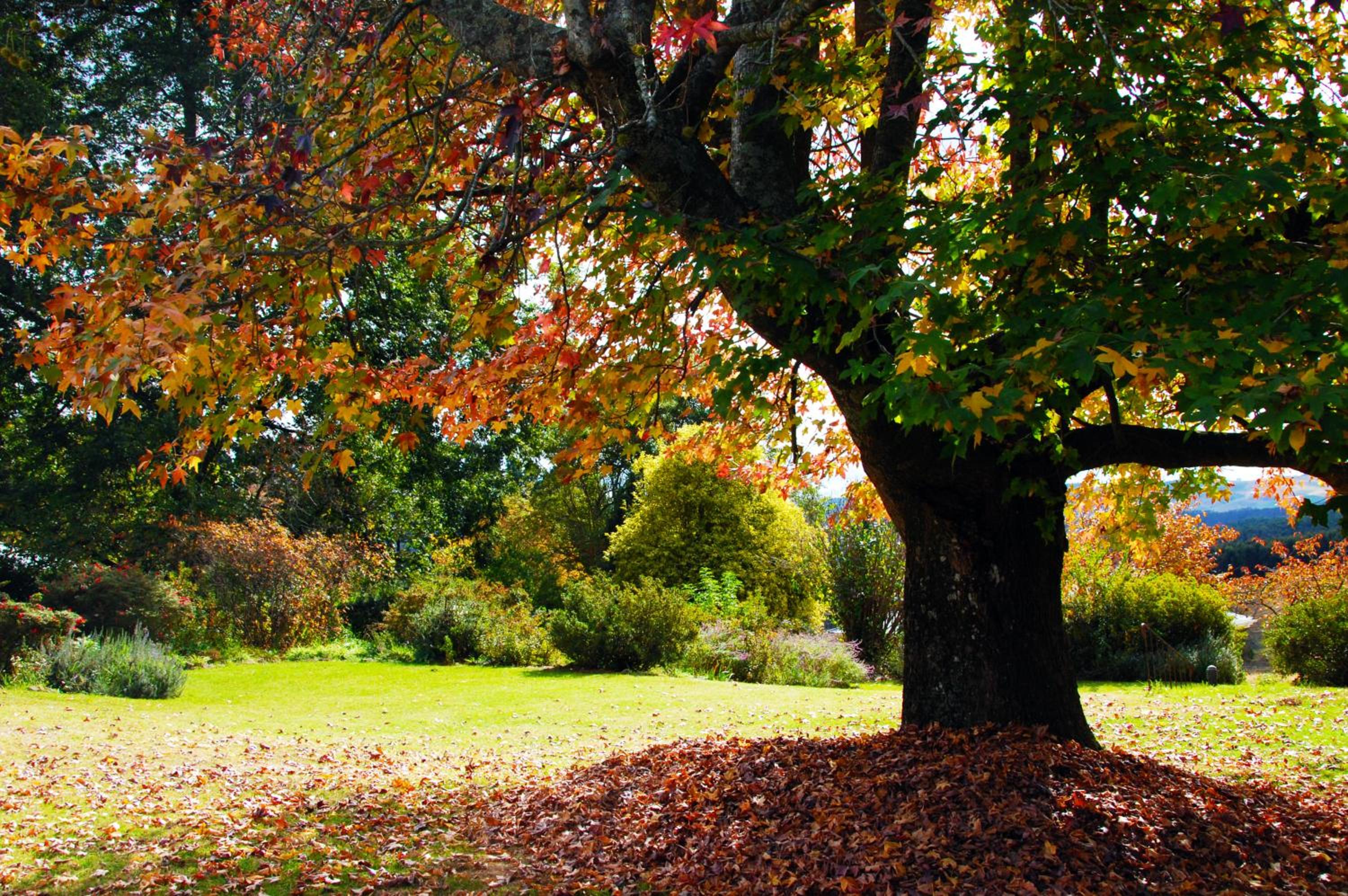 Lastingham Country Lodge