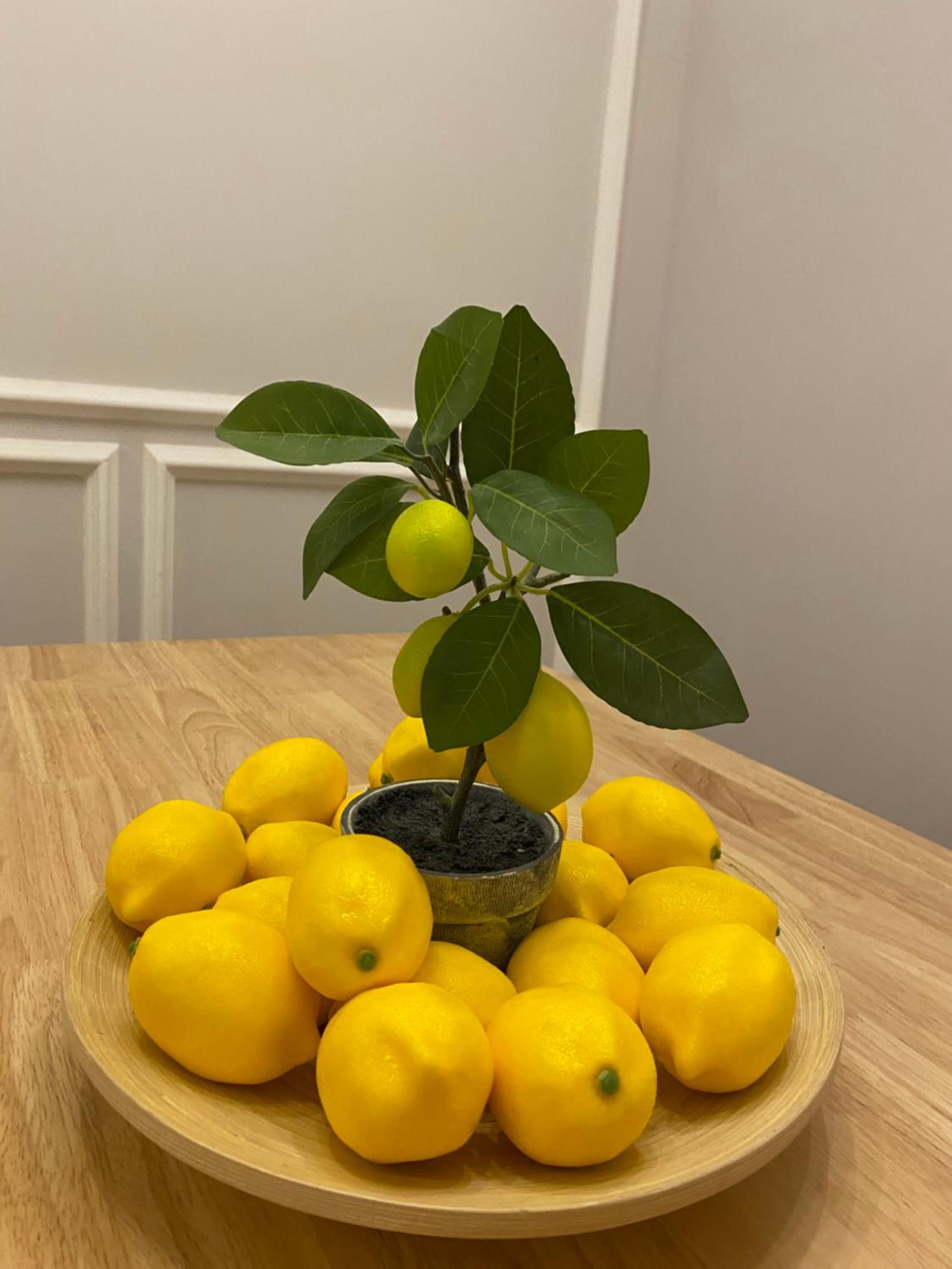 Lemon Olive Stylish Townhouse