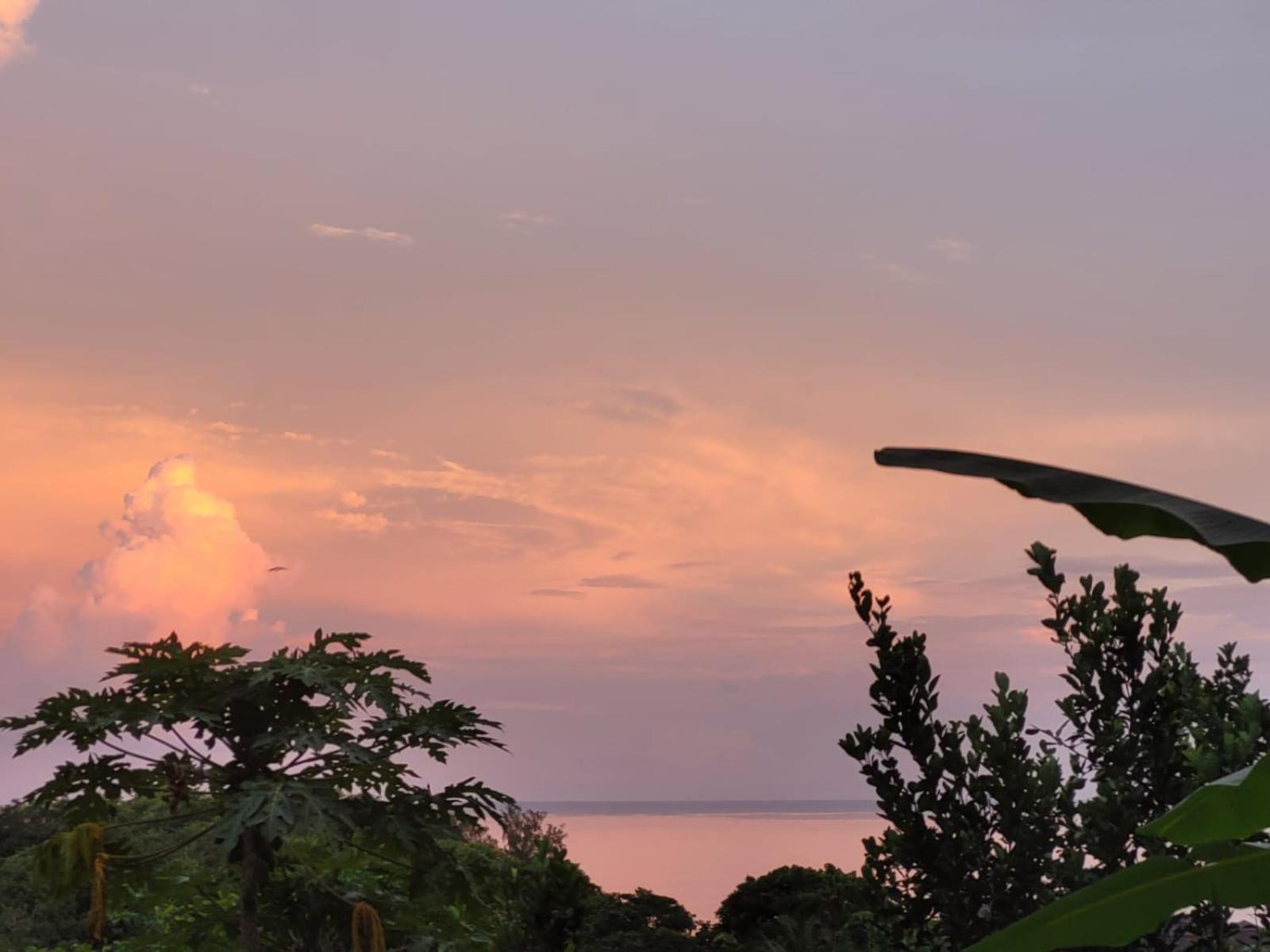 Tandif Villa Sea View photo 4