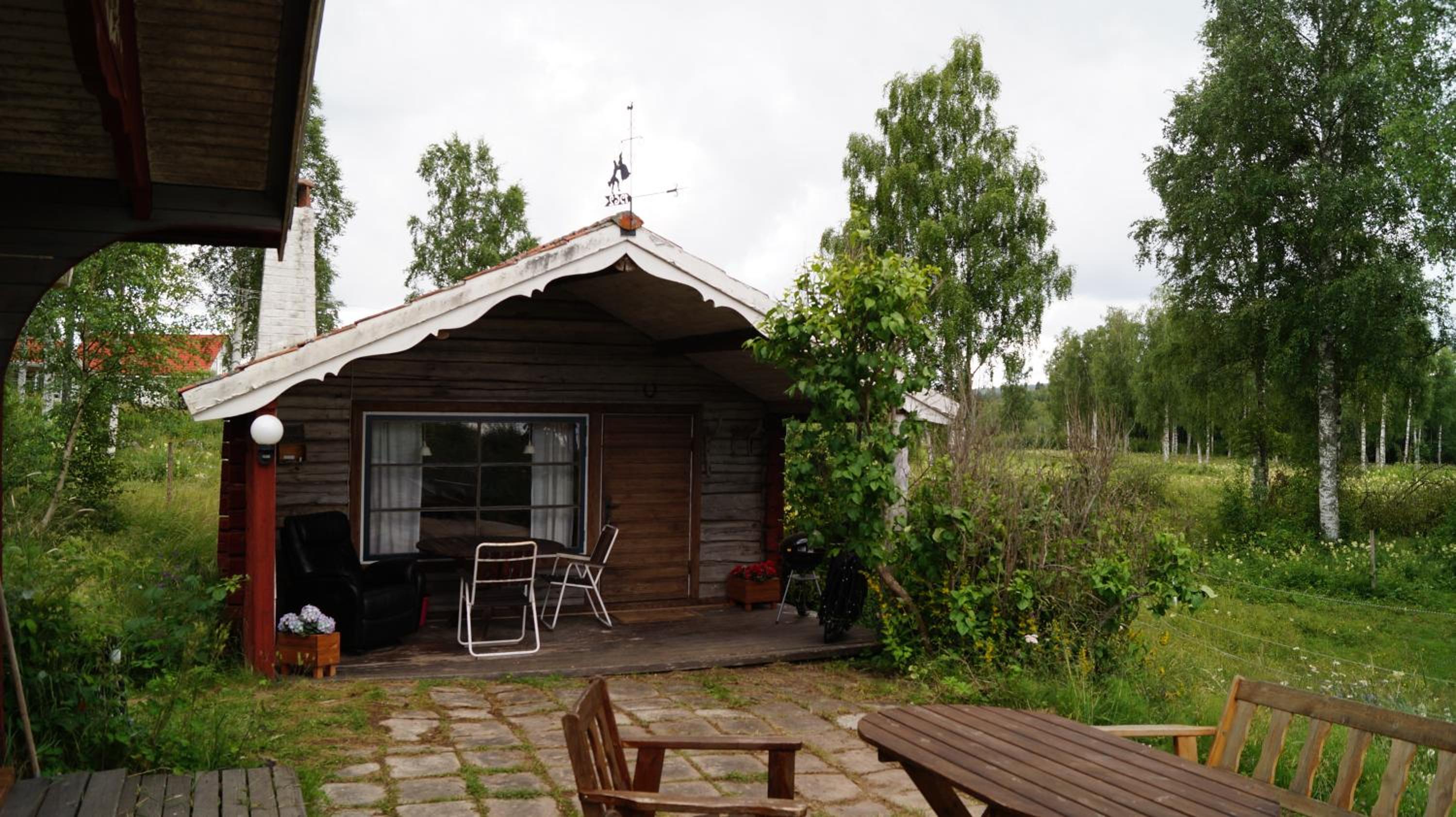 Photo 11