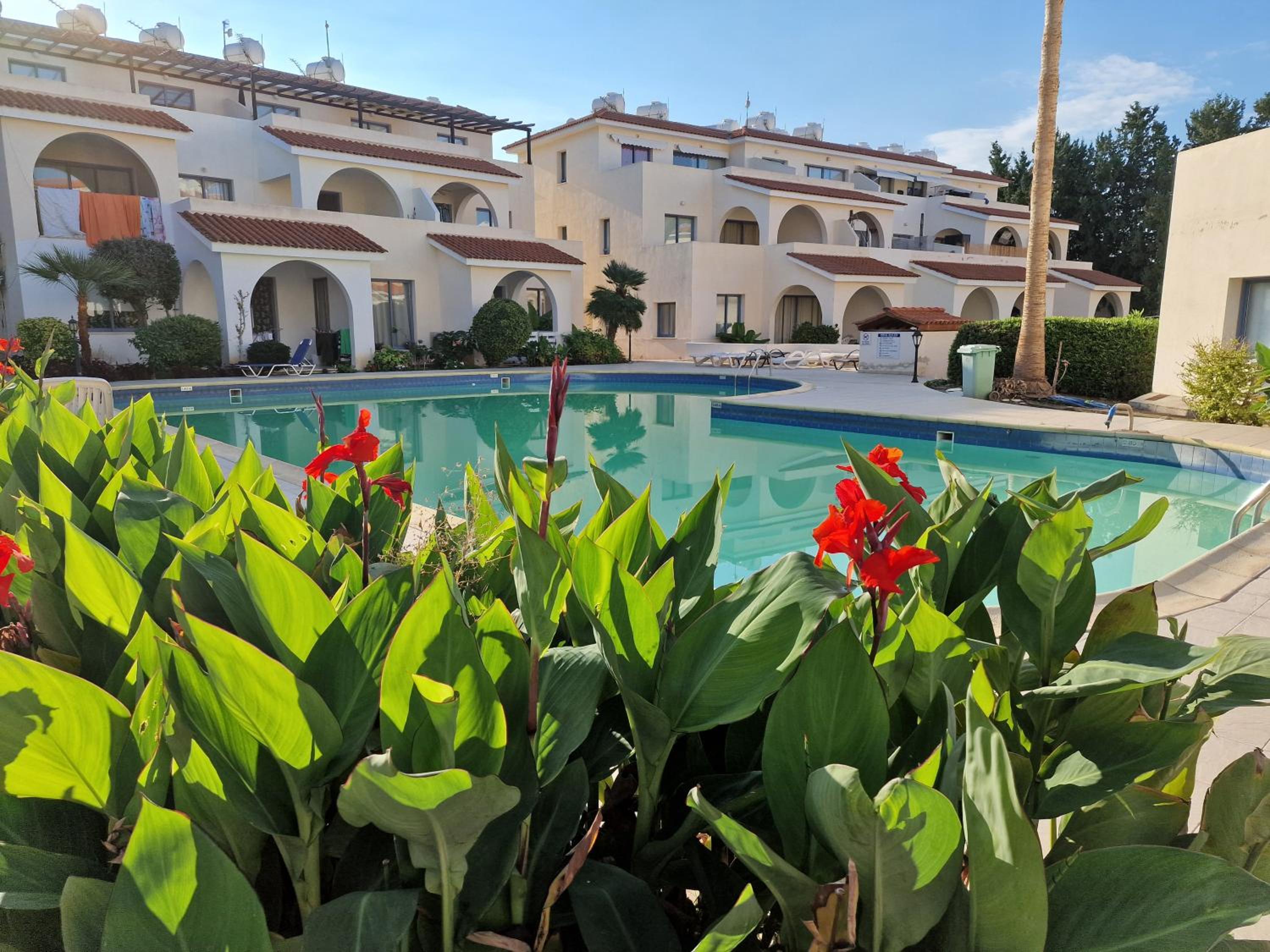 Blue Pearl holiday apartments with pool in kato paphos