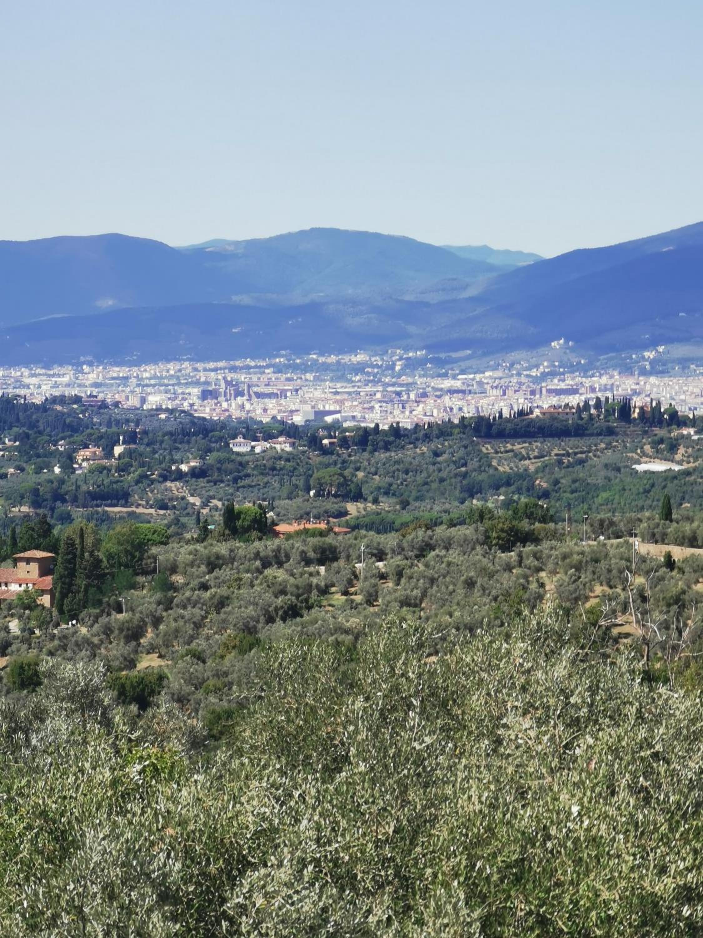 Mezzomonte View