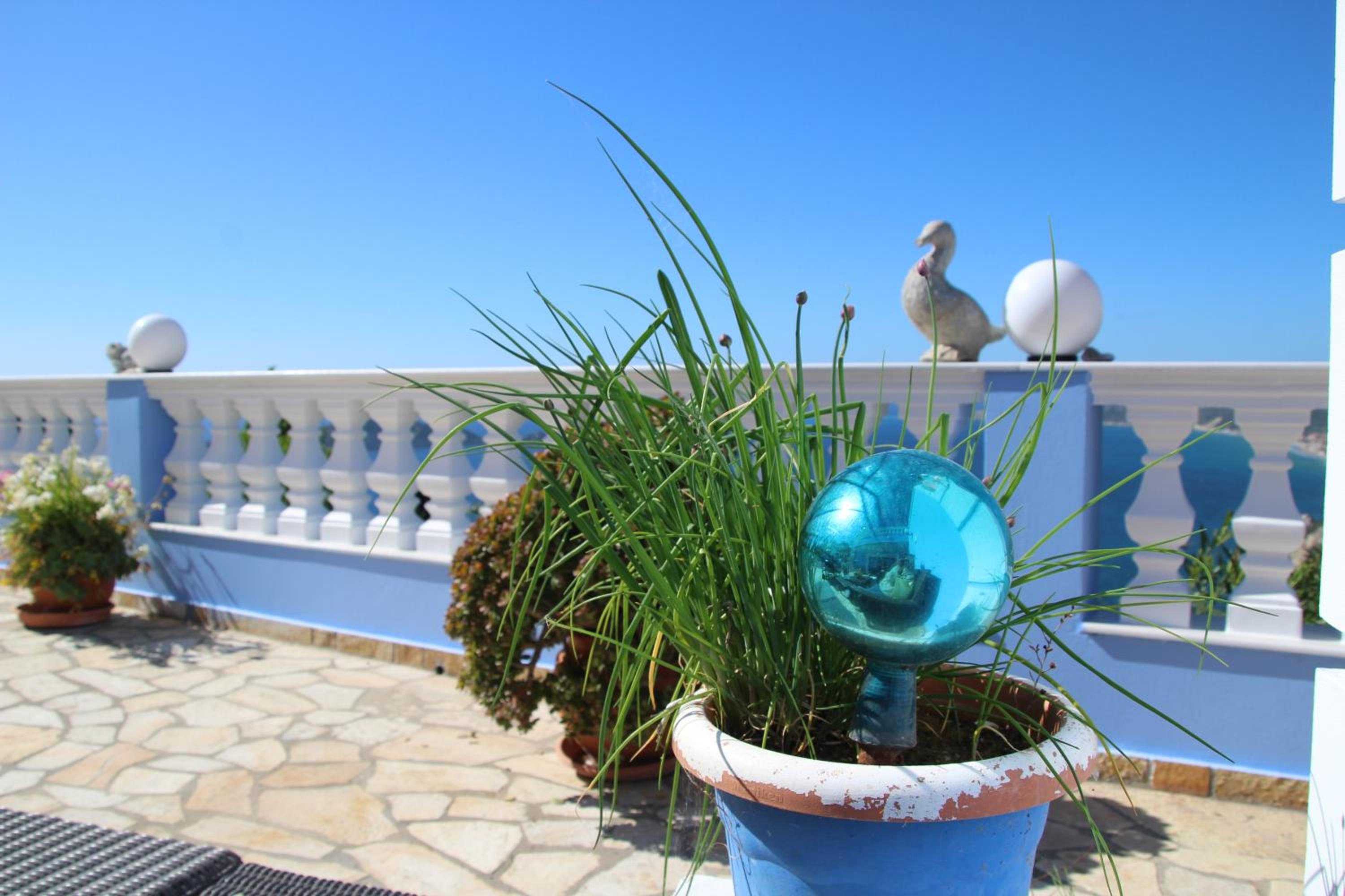 Photo 50