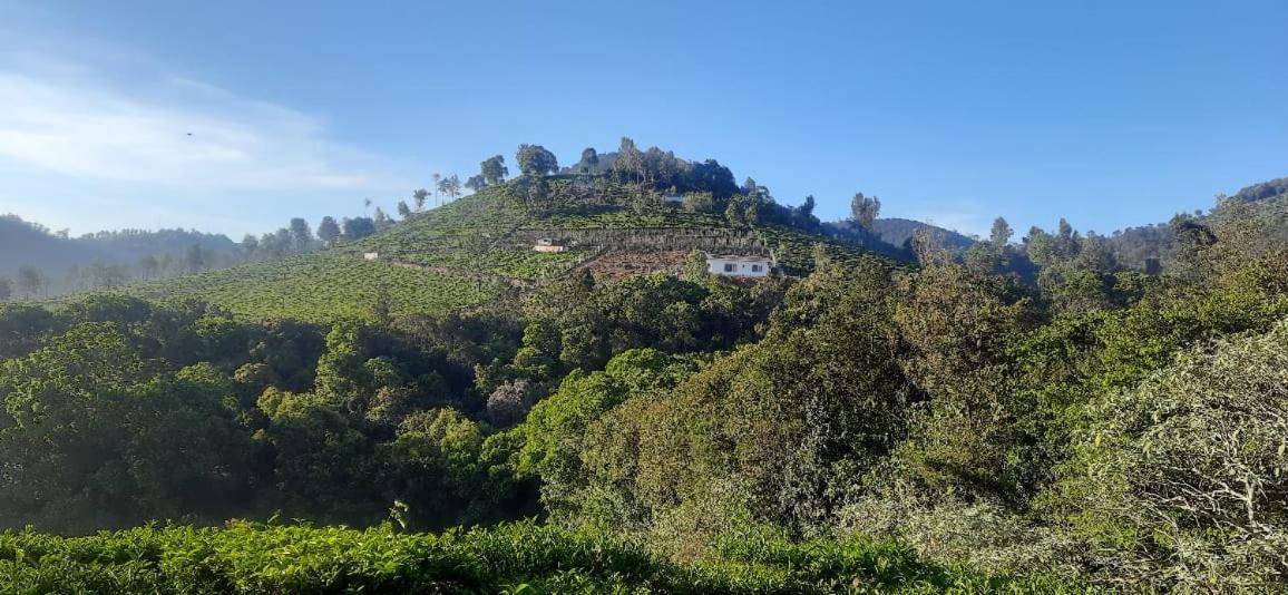 Wilderness Vila