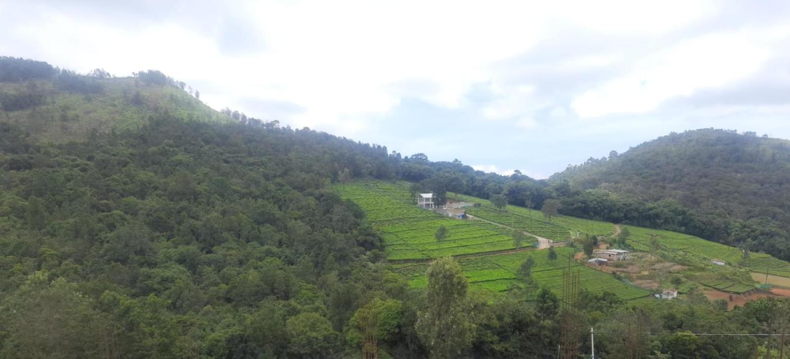 Wilderness Vila