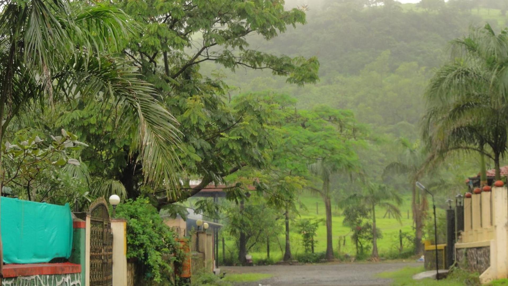 Royal Villa 1 - Luxurious 2BHK Villa with Huge Pvt Swimming Pool view 4
