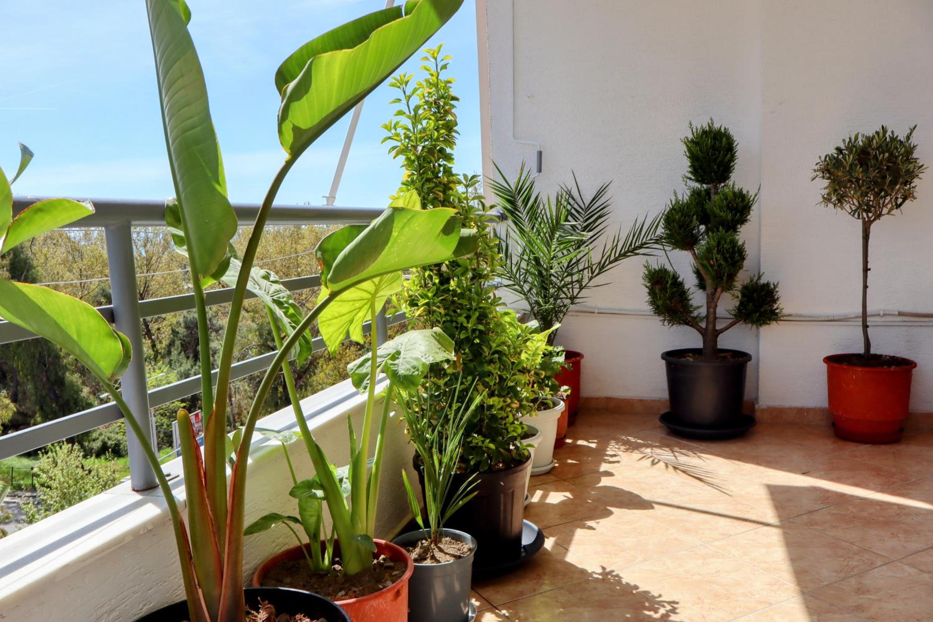 Laurent's Durres apartment