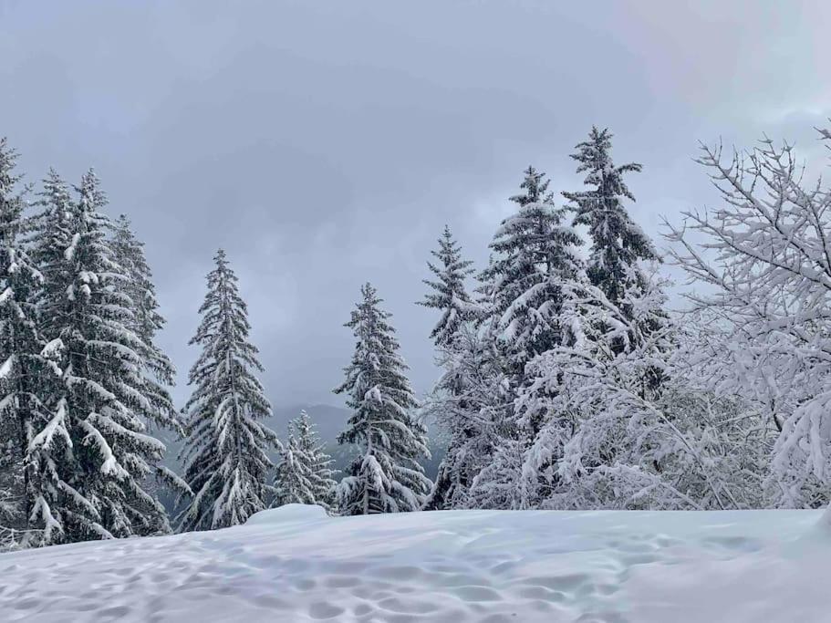 Crans Paradise