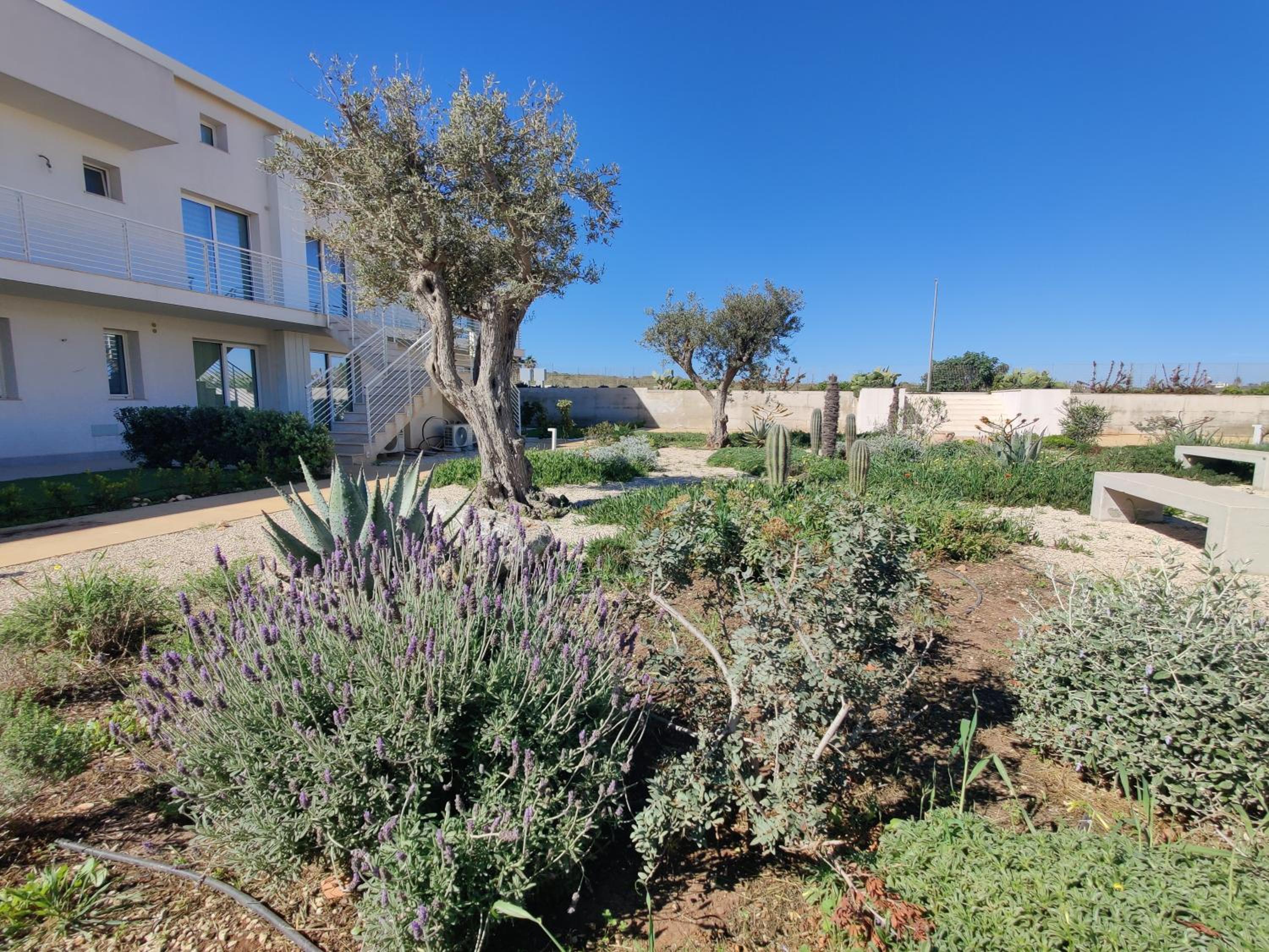 Borgo 84 - Appartamento Girasole - Marzamemi view 3