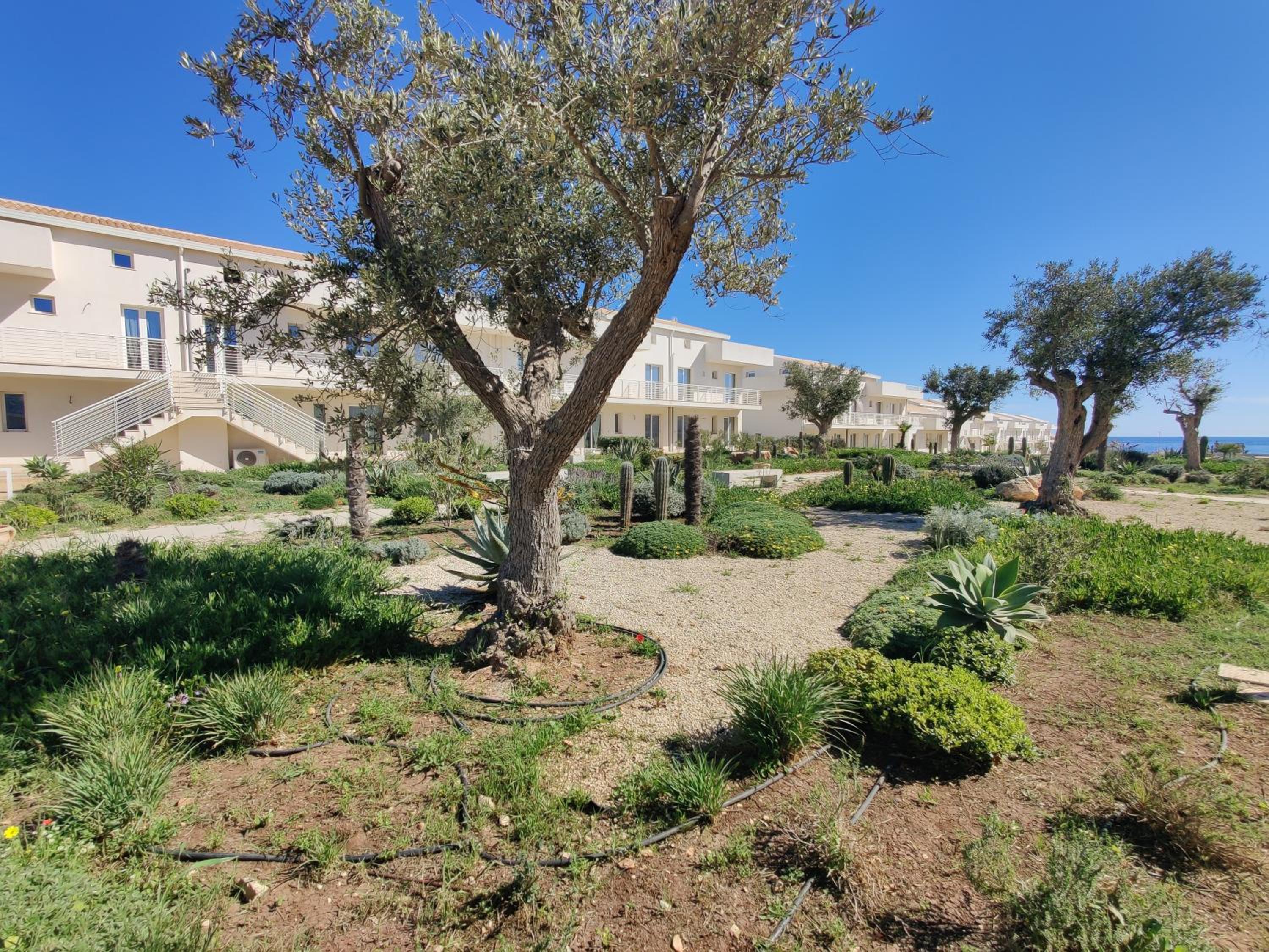 Borgo 84 - Appartamento Girasole - Marzamemi view 4