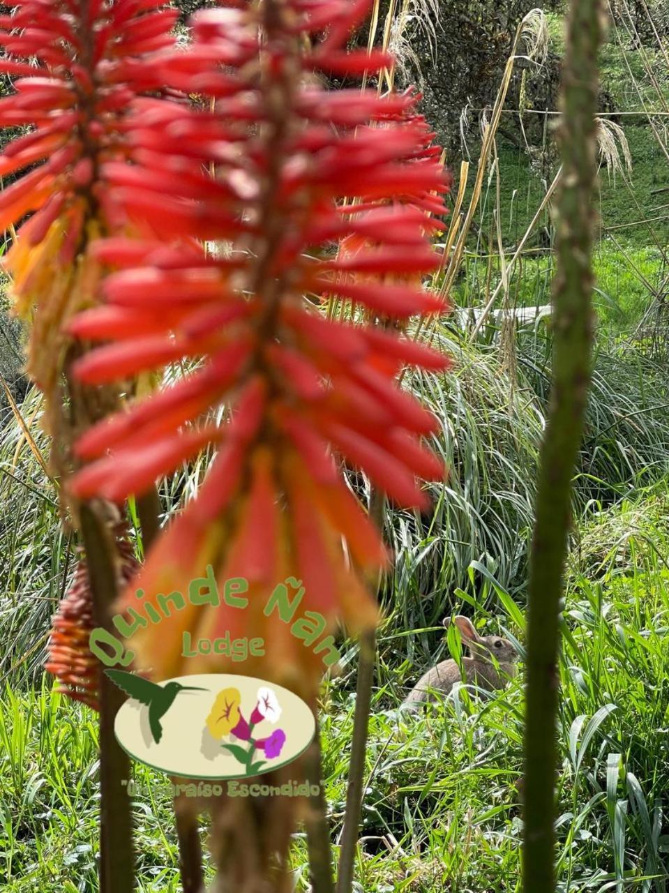 Quinde Ñan Lodge