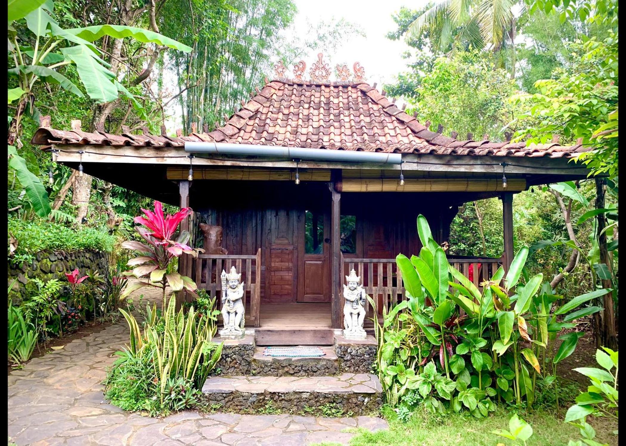 Photo 281