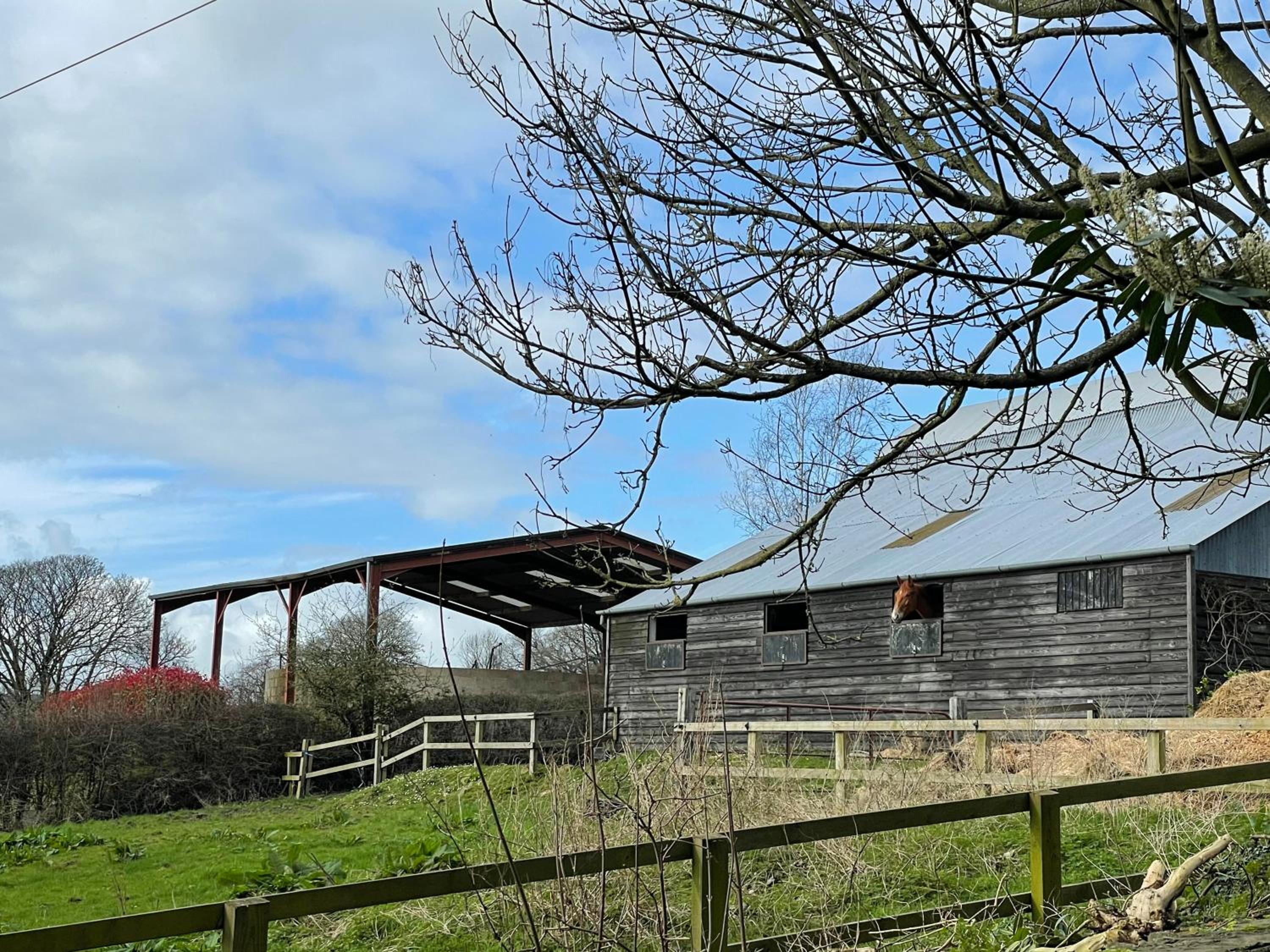 Lionhart Wellness Mountain Farm