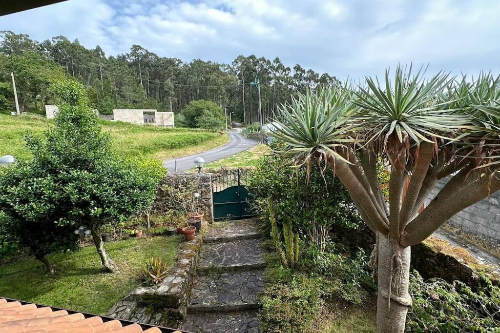 Casa Crisa