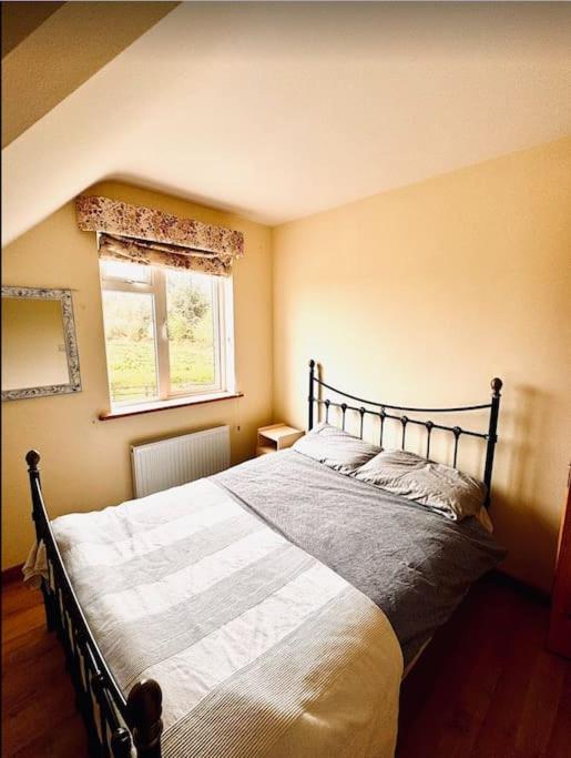 Clare Homestay