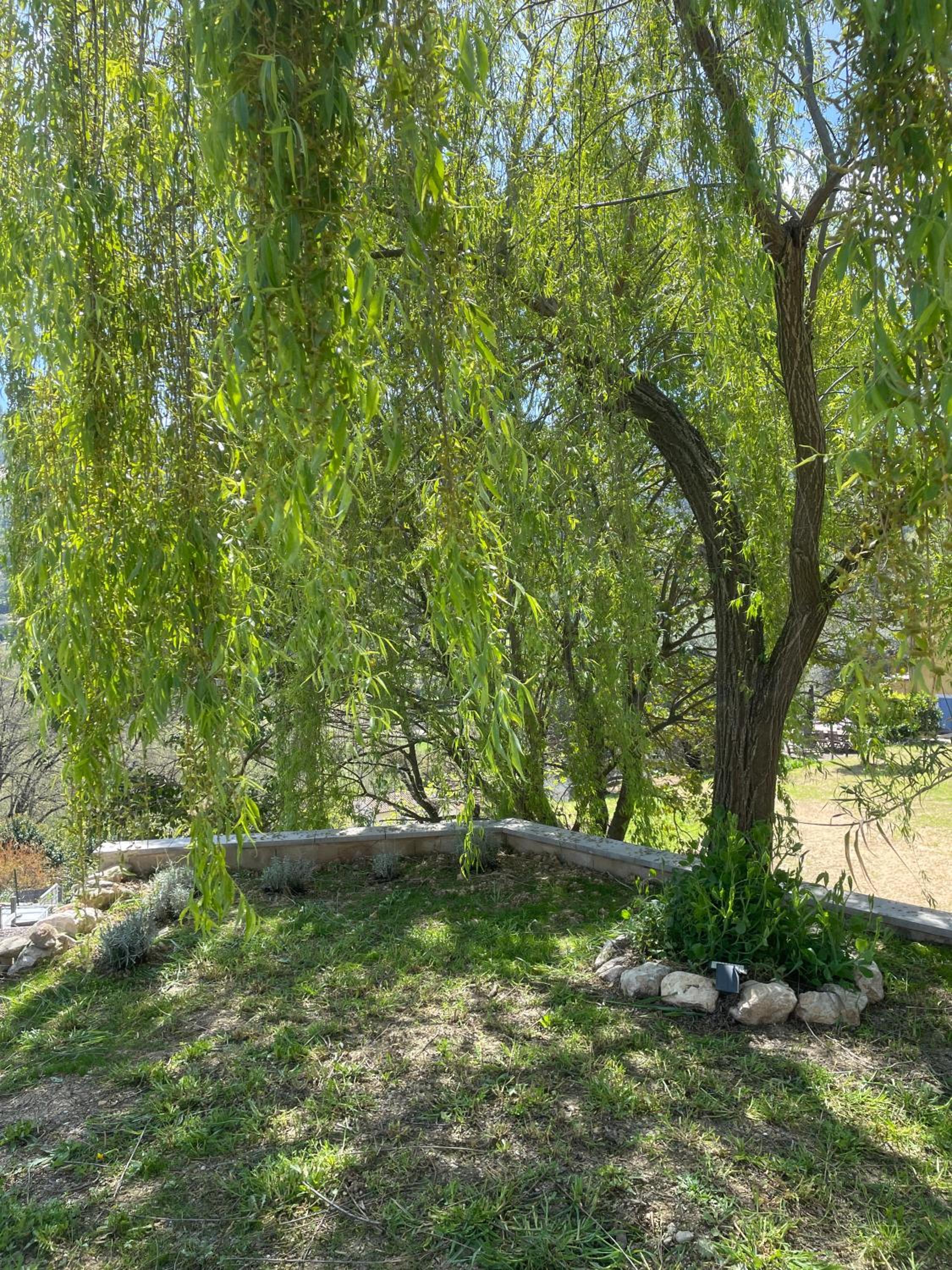 Photo 45