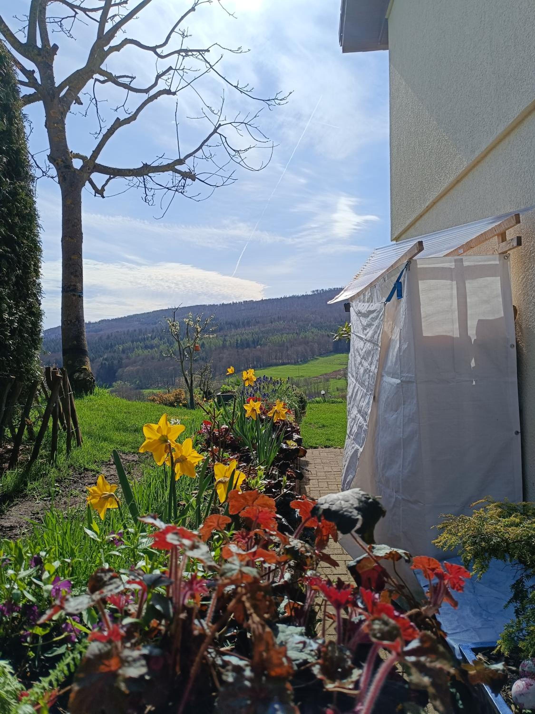 Ferienwohnung zum Märchenwald
