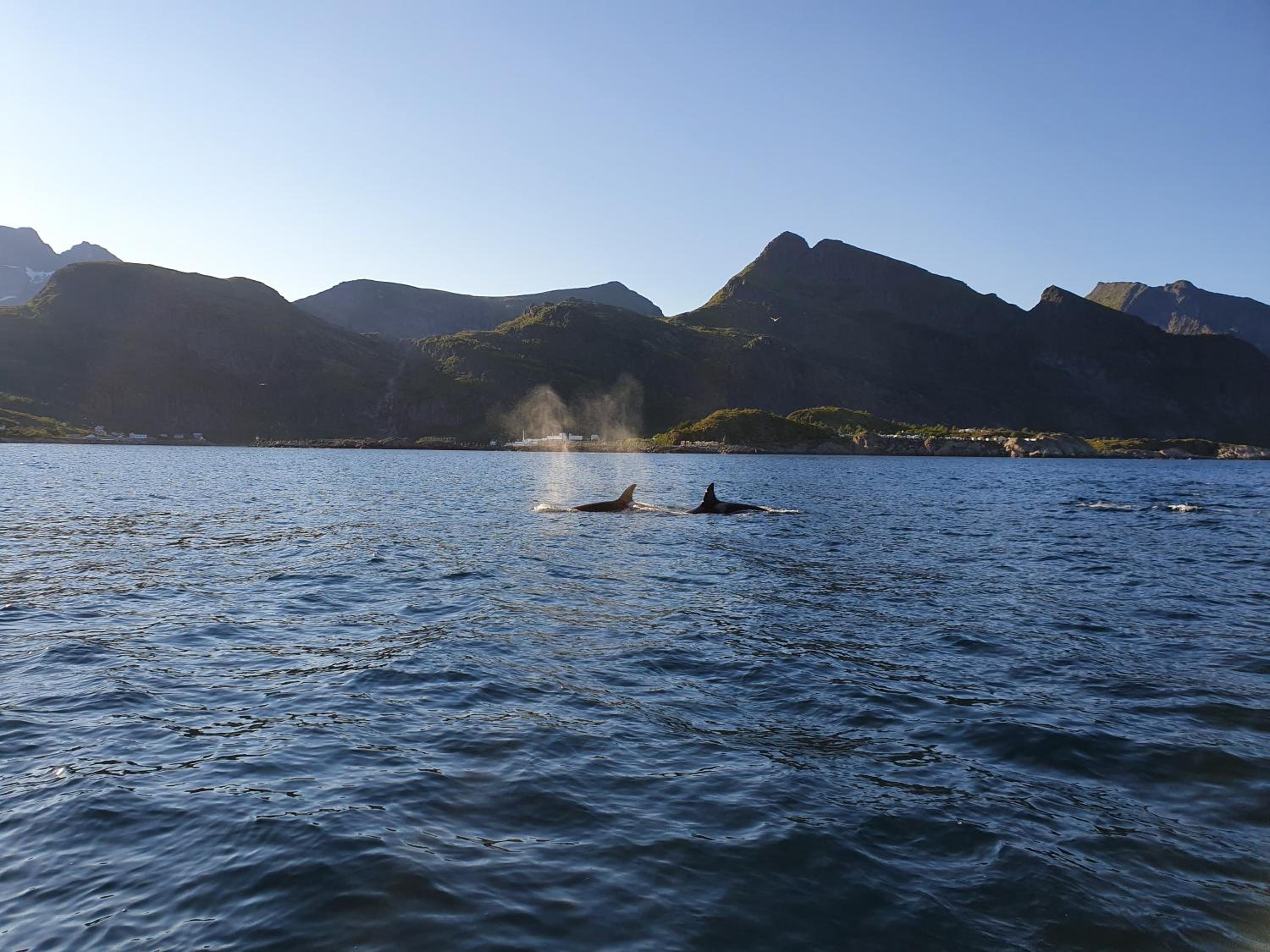 Lofoten Finnhavn Øvre - Panoramic view