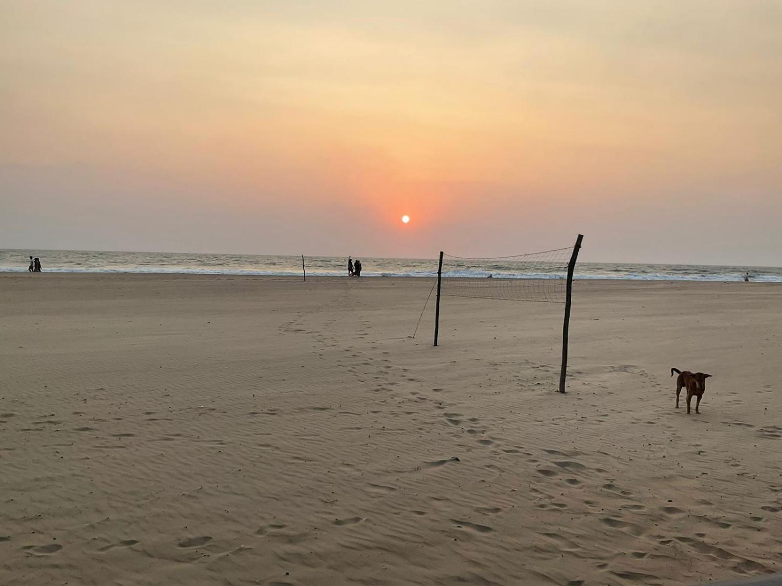 PRAKRUTI GOKARNA