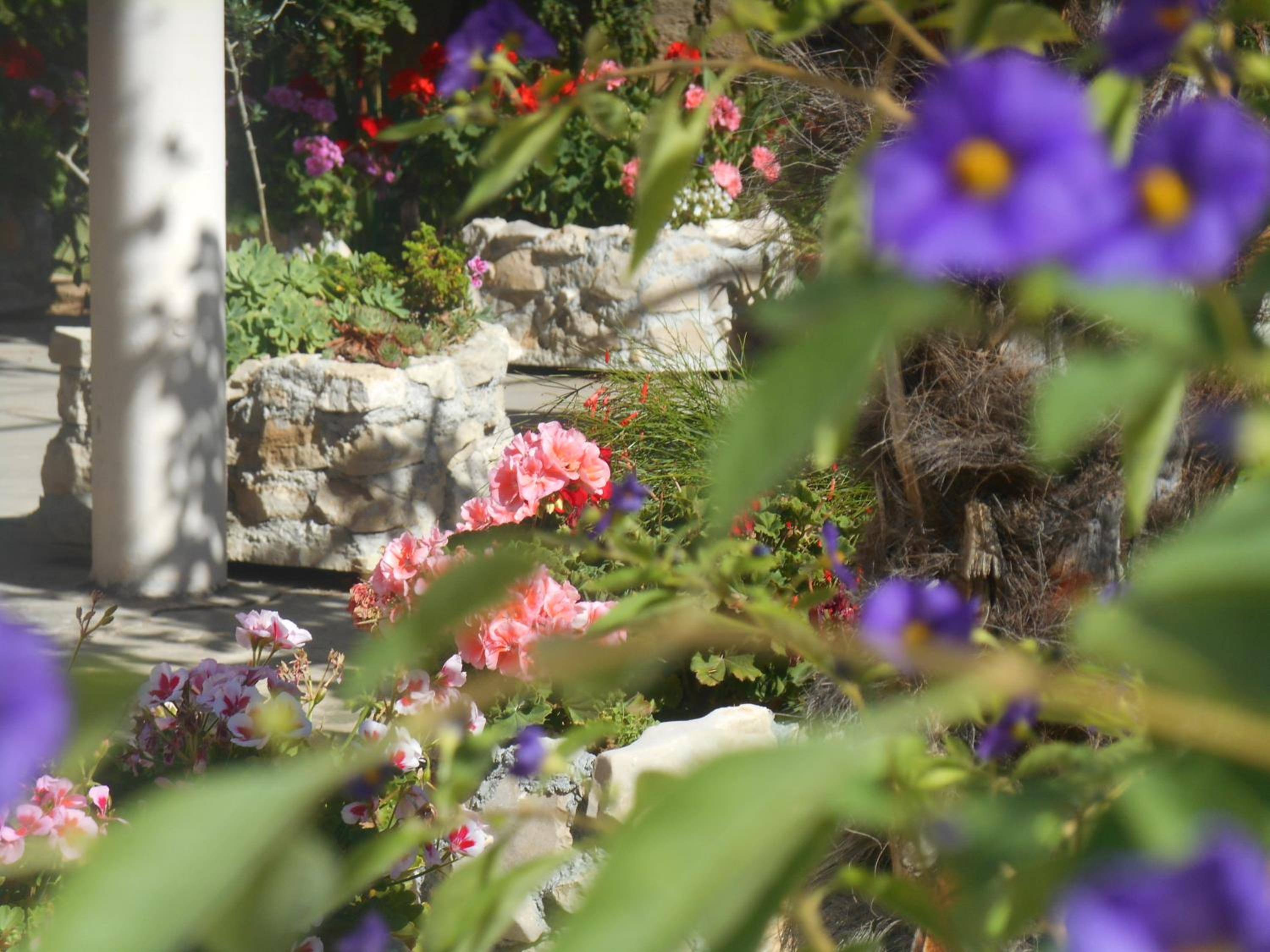 Photo 49