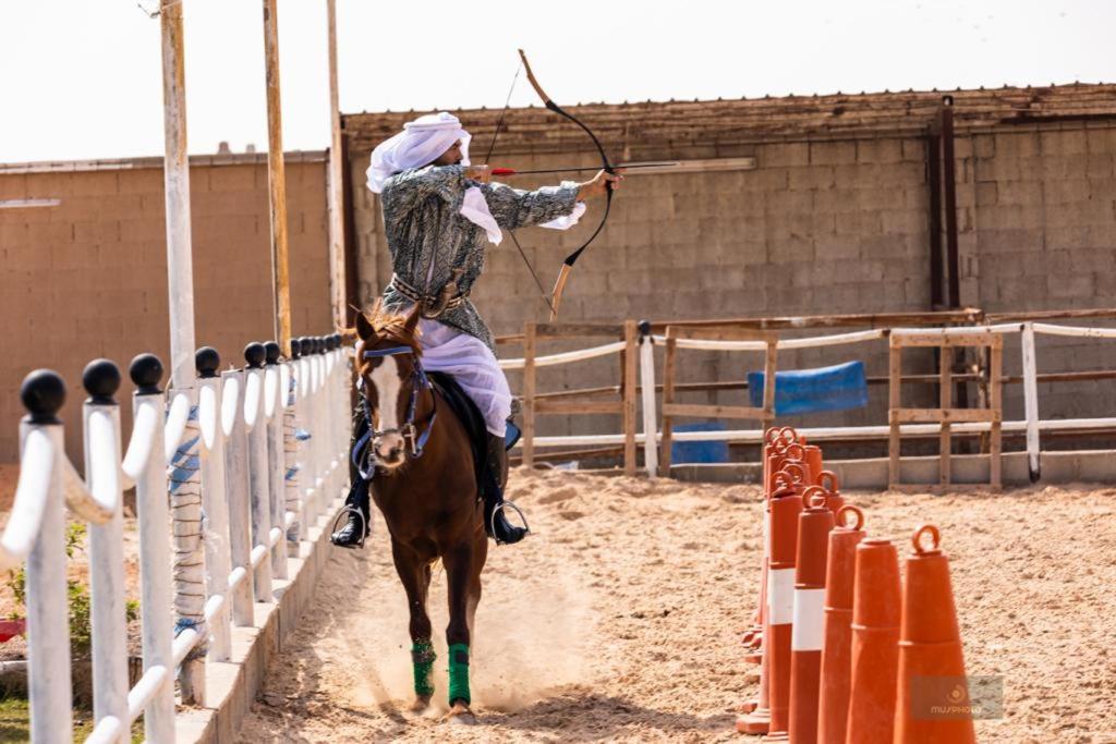 Working Line Traditional Equestrian Centre