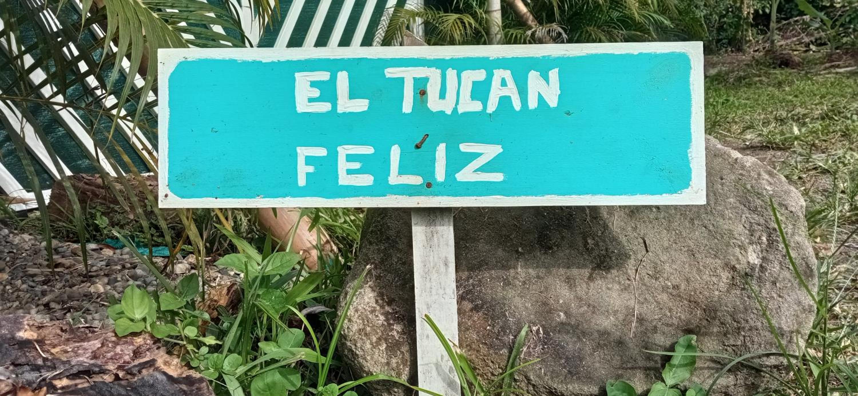 El Tucan Feliz - Boho Jungle Tiny Guest House & Mini Pool Oasis