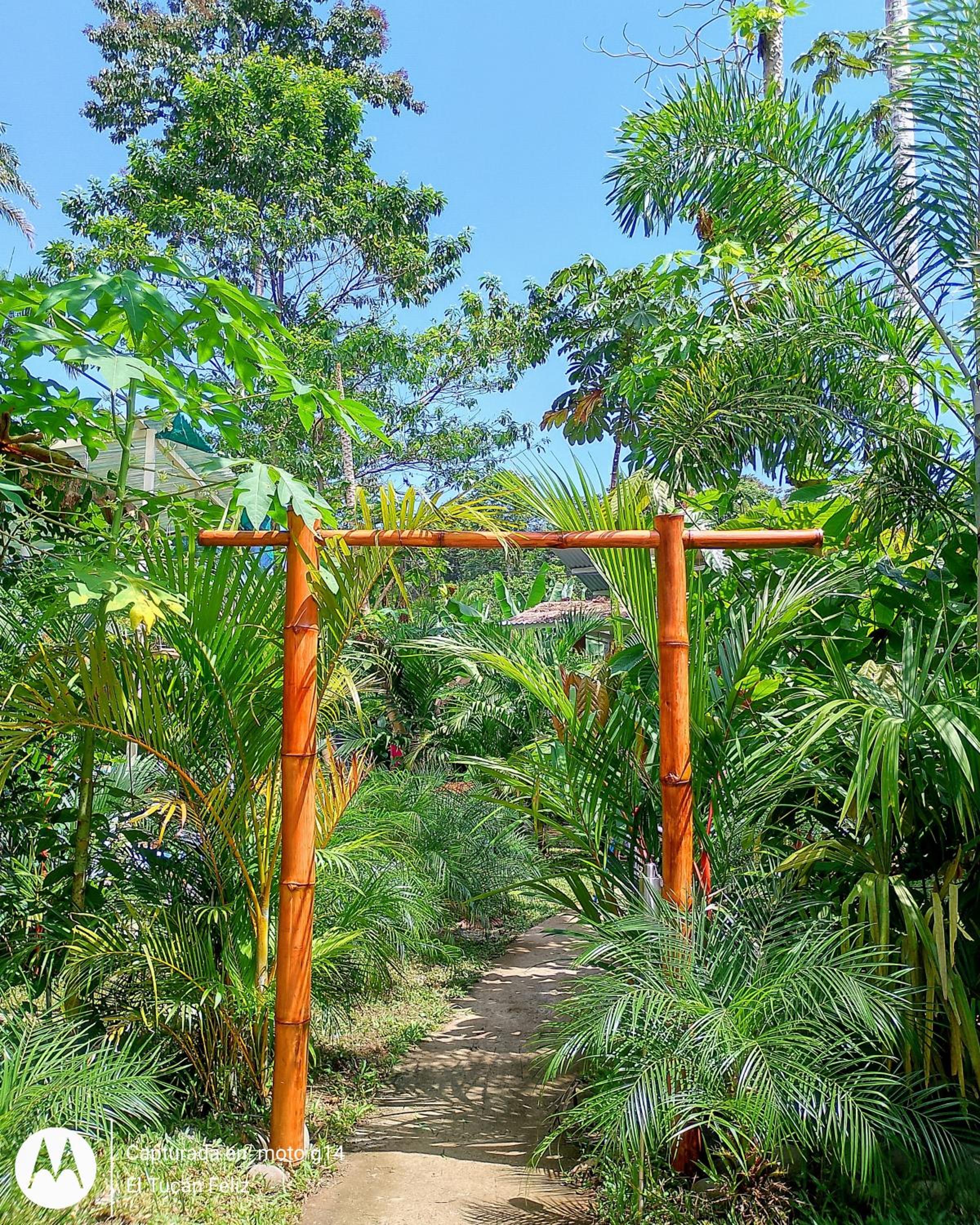El Tucan Feliz - Boho Jungle Tiny Guest House & Mini Pool Oasis