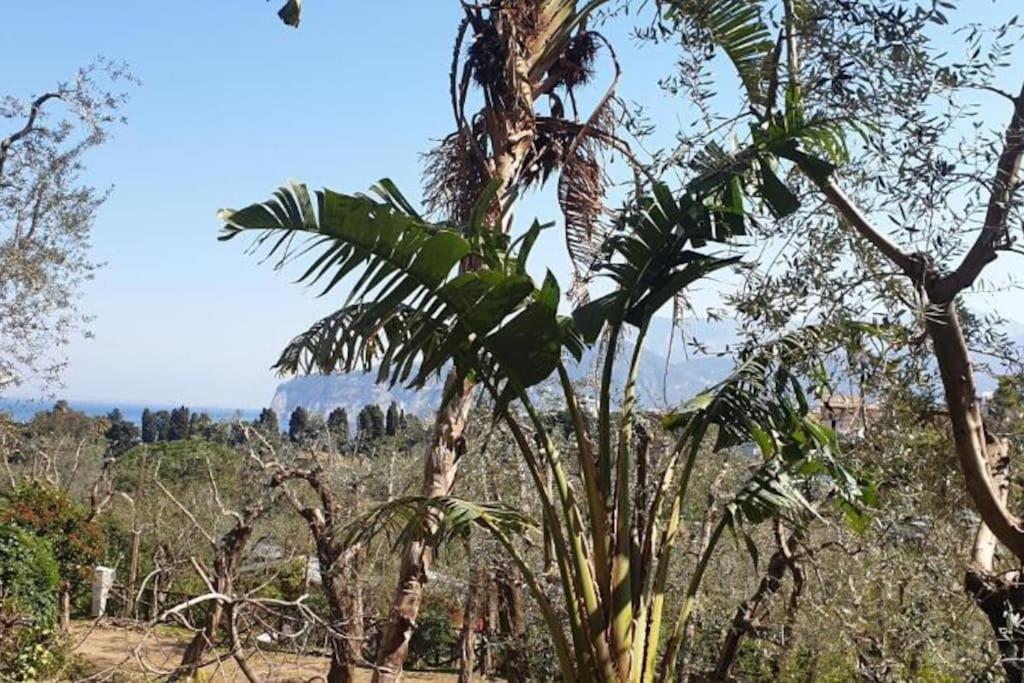 Casa Athena - Partenope view 5