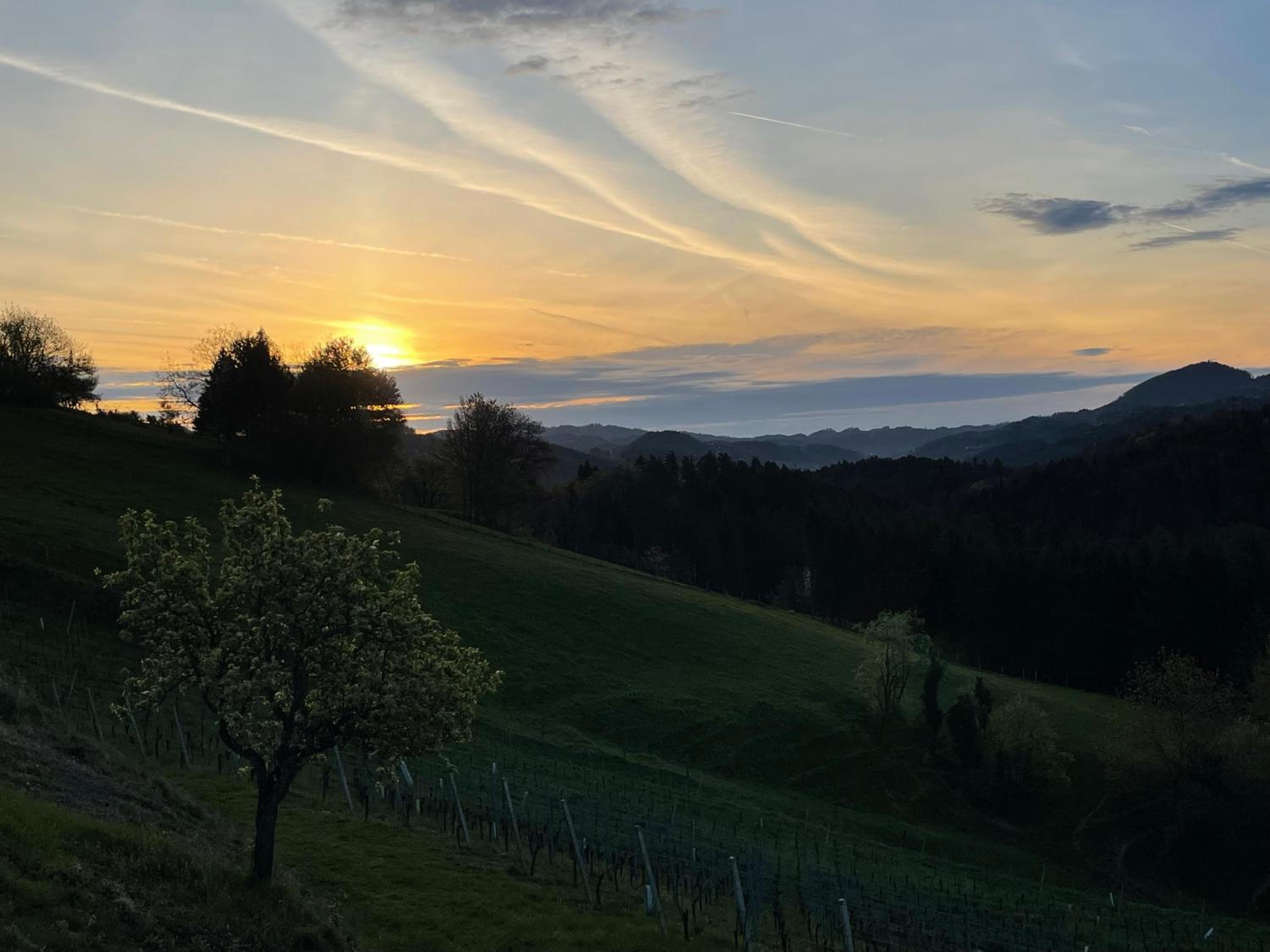 Ferienhaus am Weinberg Krast