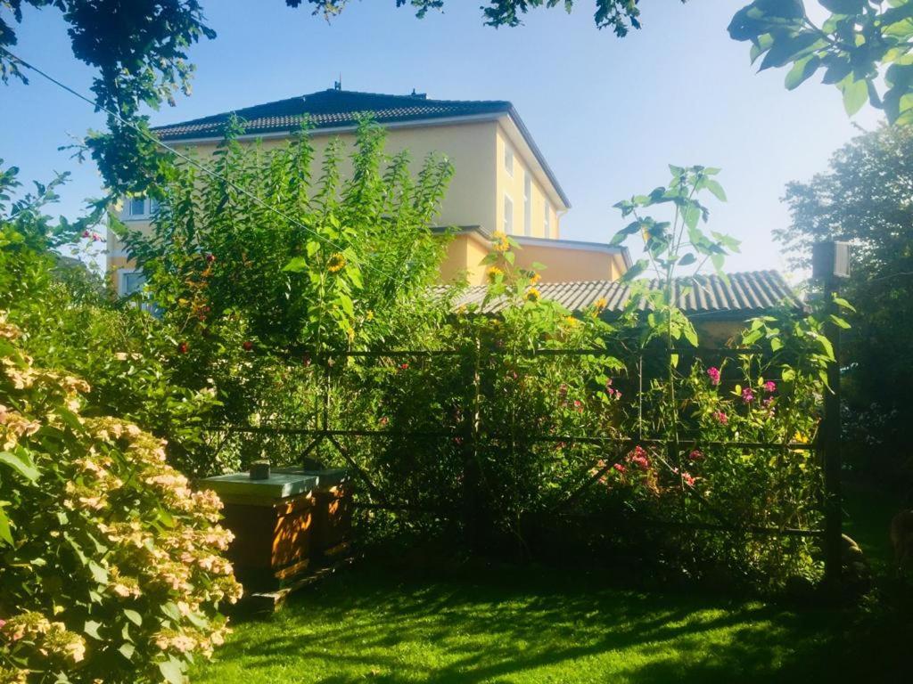 Haus Mira
