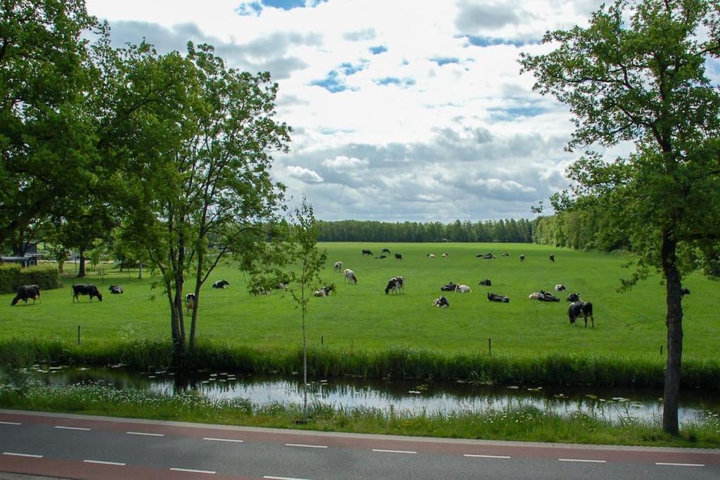 Netjes appartement in buiten gebied, Landelijk