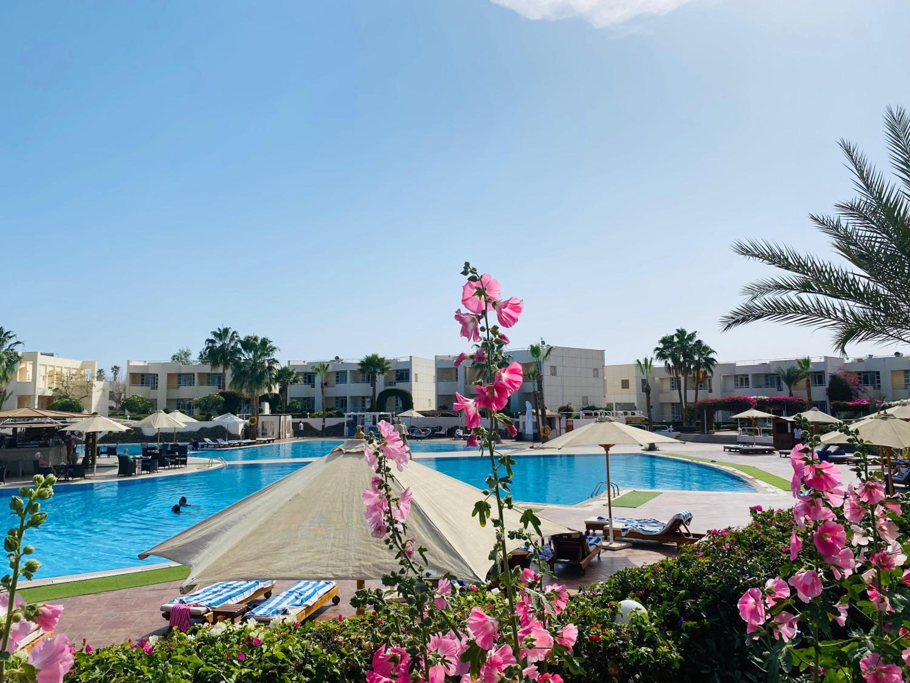 Sharm Reef Hotel