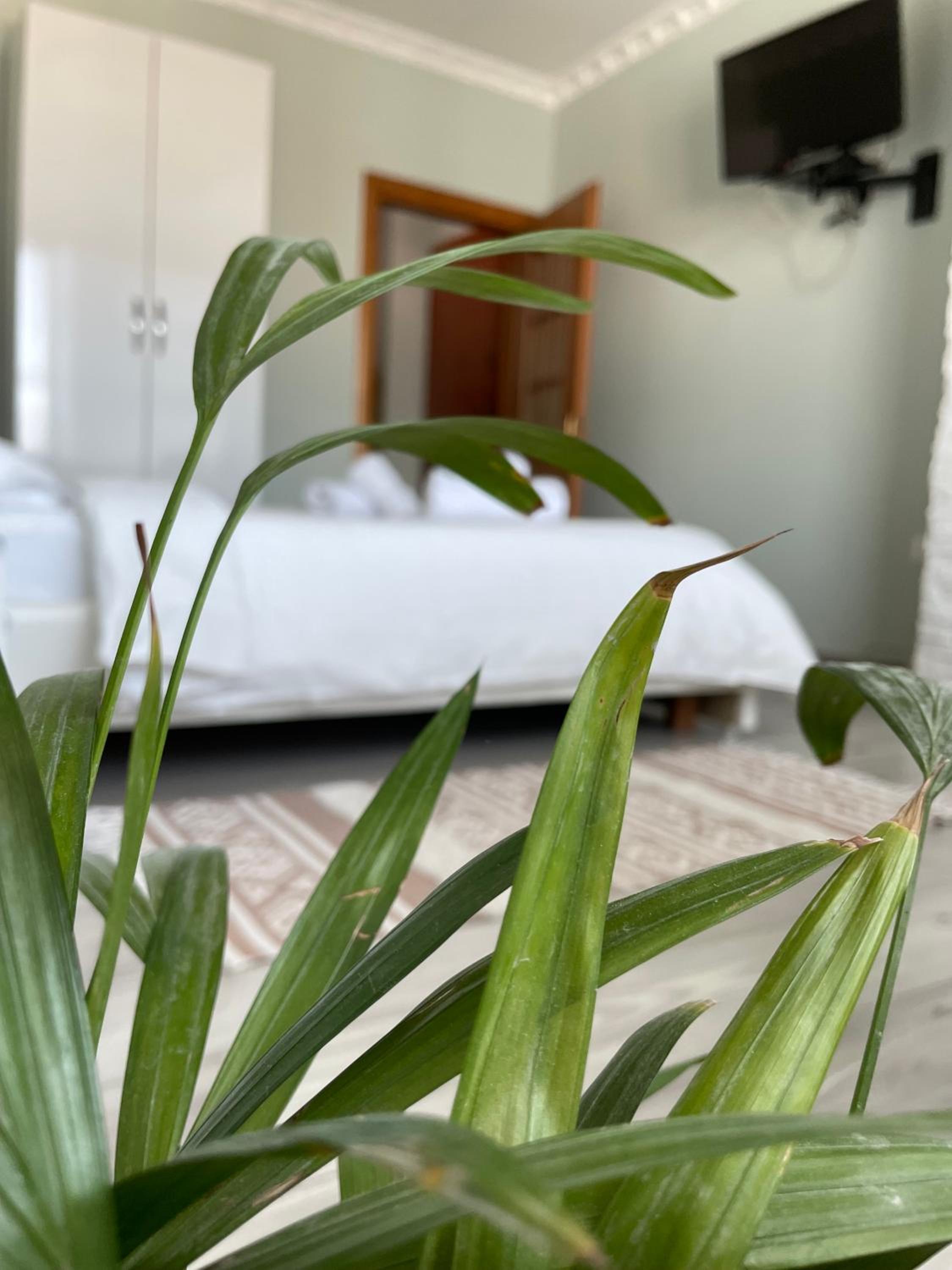Agroni Rooms