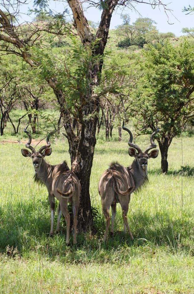 Tranquility-Ukuthula Guesthouse